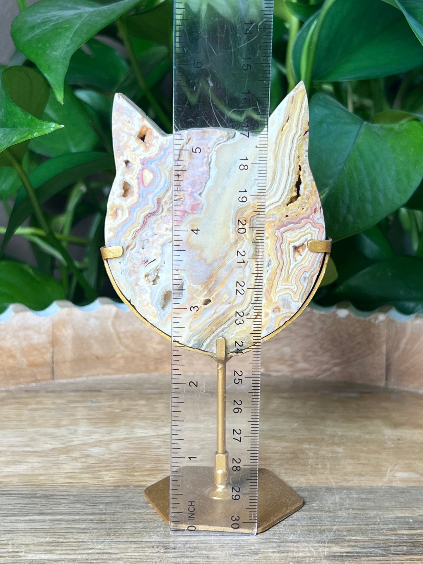 Crazy Lace Agate Cat Head