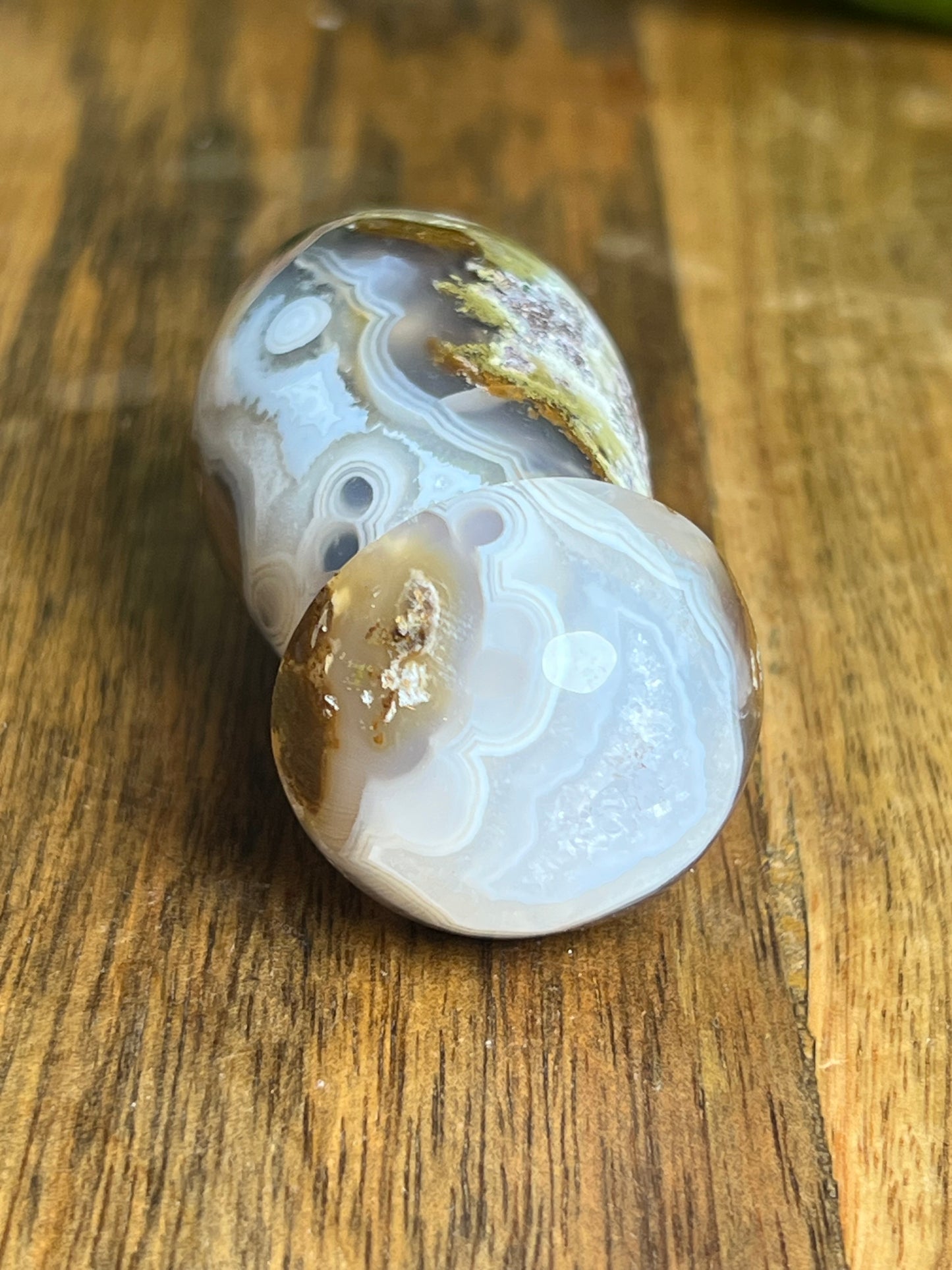 Scenic Moss Agate Mushroom