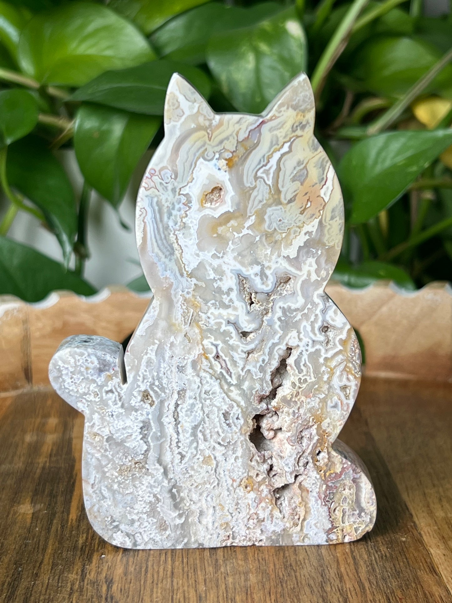 Sumatra Plume Agate Cat