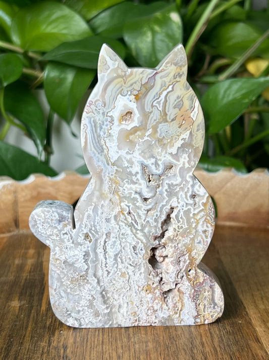 Sumatra Plume Agate Cat