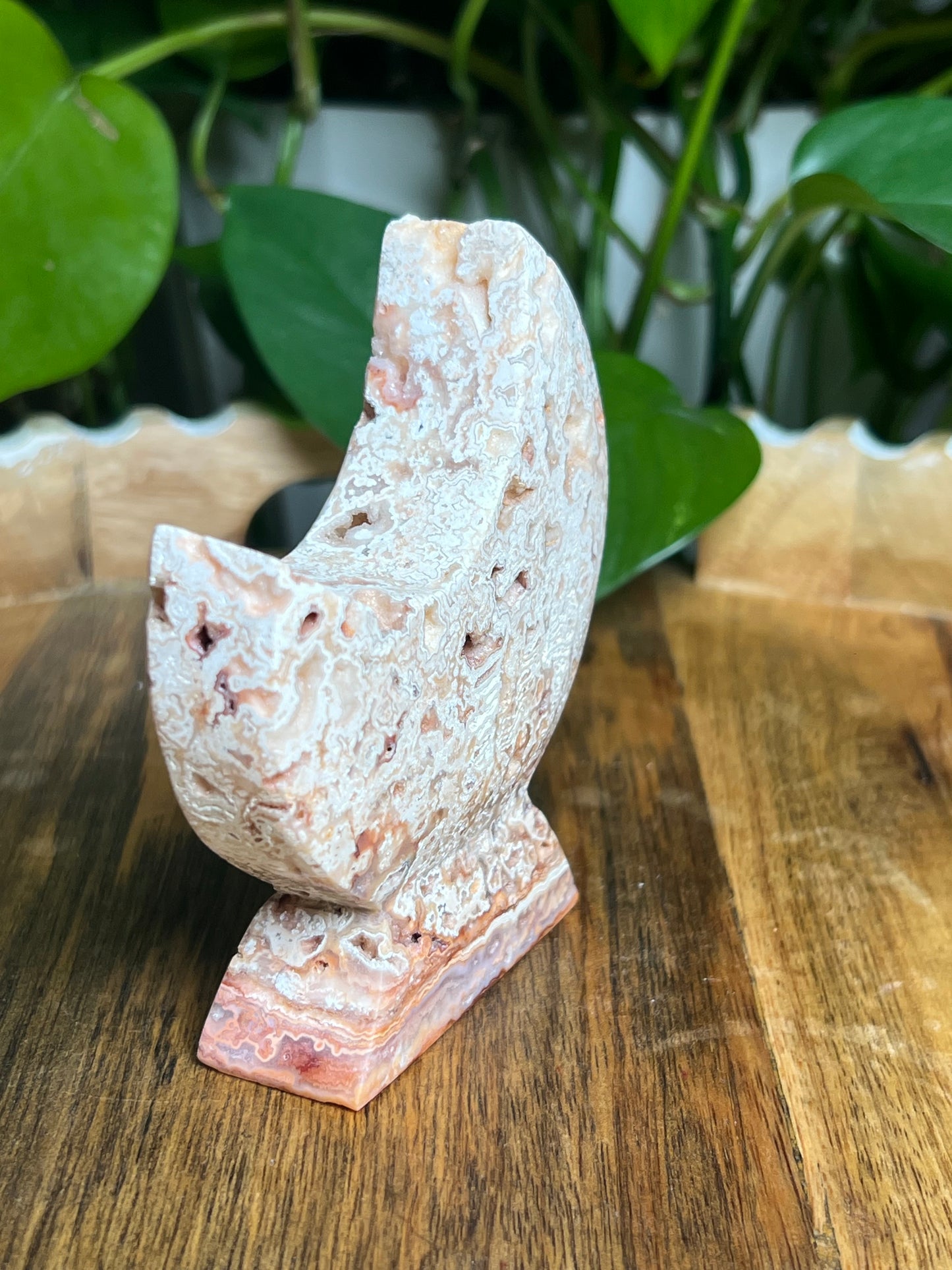 Crazy Lace Agate Self-Standing Moon: T