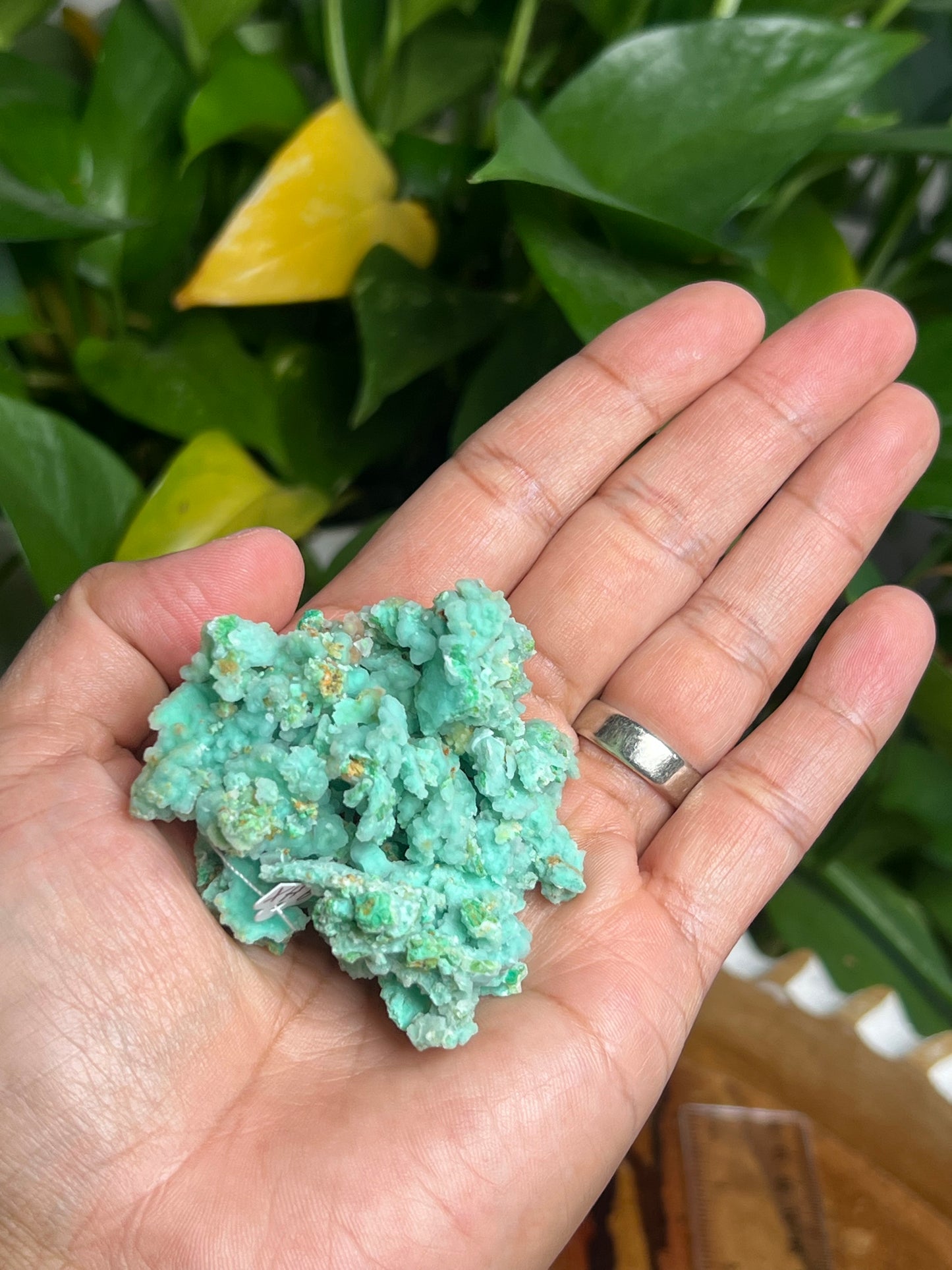 Smithsonite Specimen HX