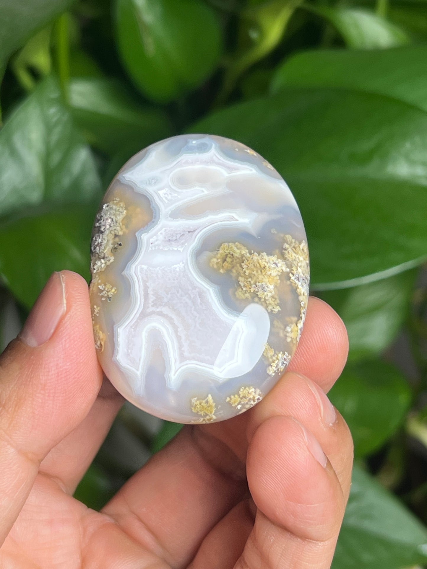 Scenic Moss Agate Palmstone: BZ