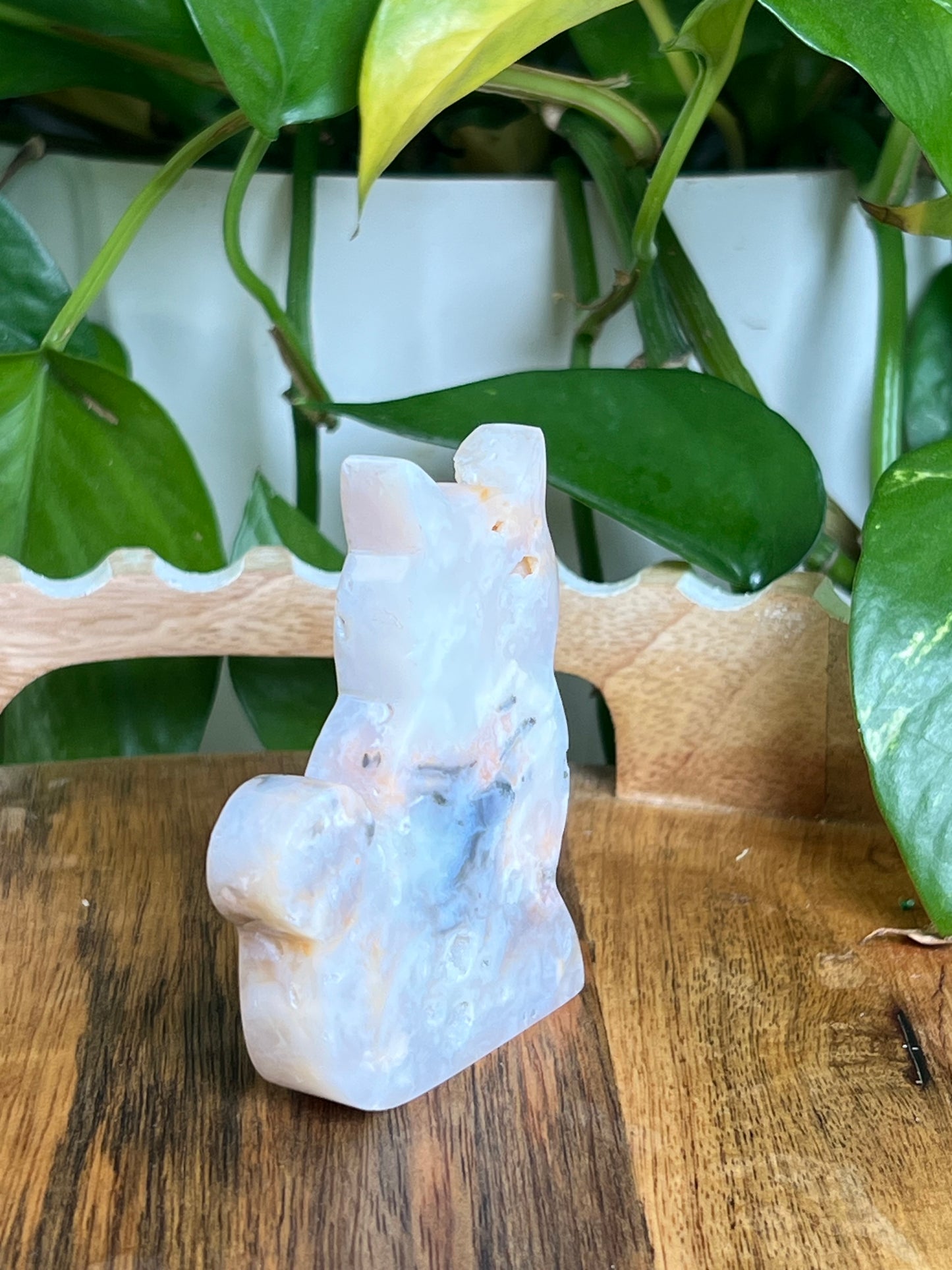 Rainbow Plume Agate Cat K
