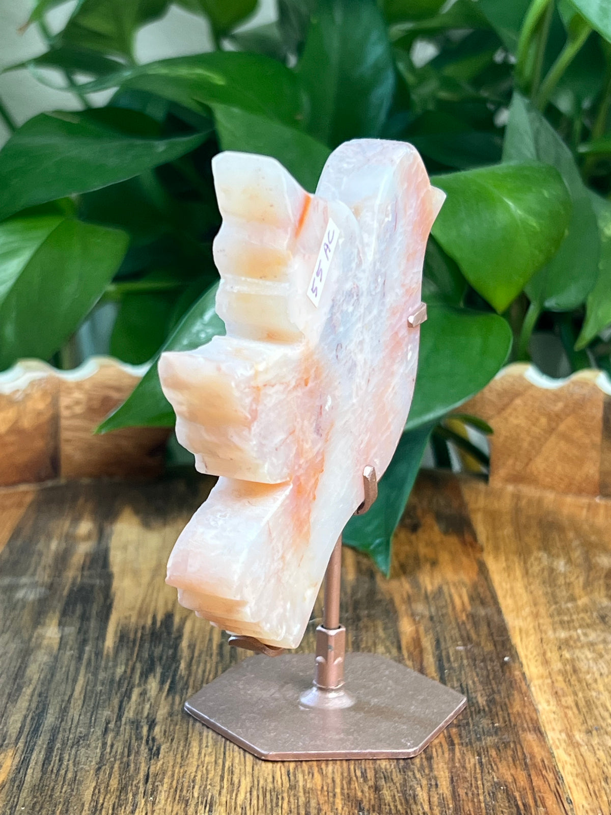 Pink Carnelian Bird: AC