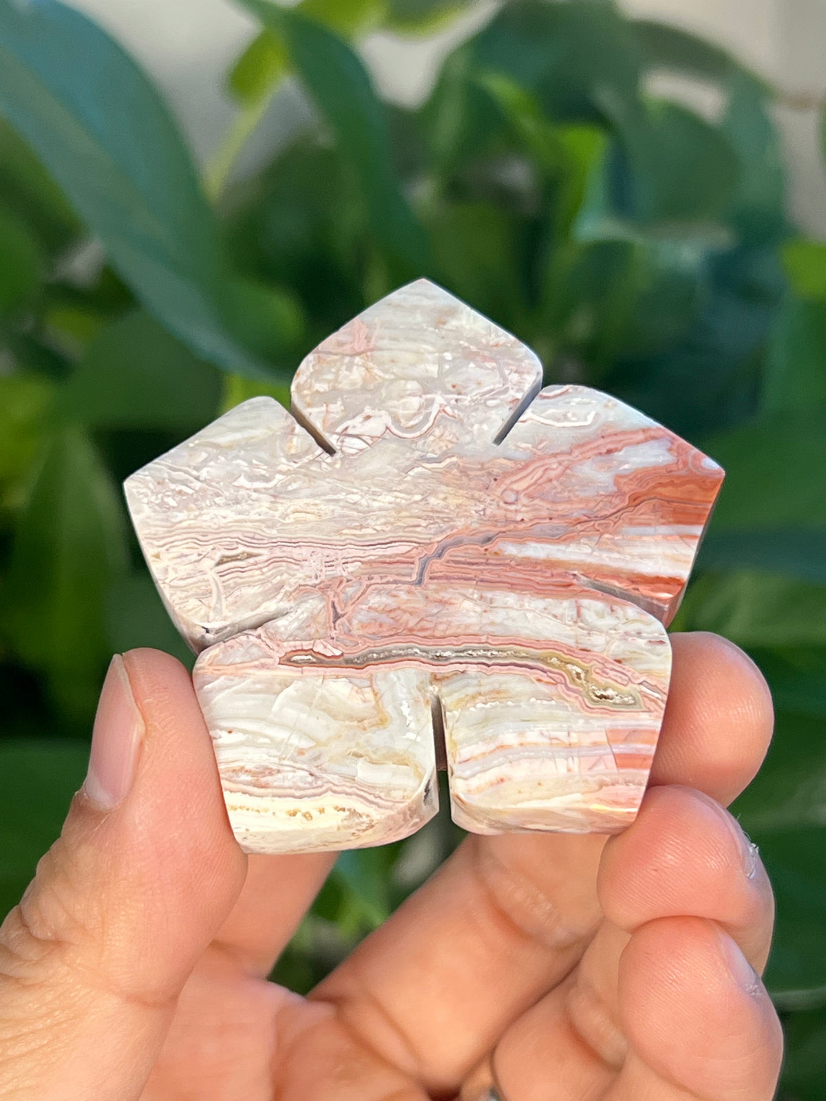 Crazy Lace Agate Flowers