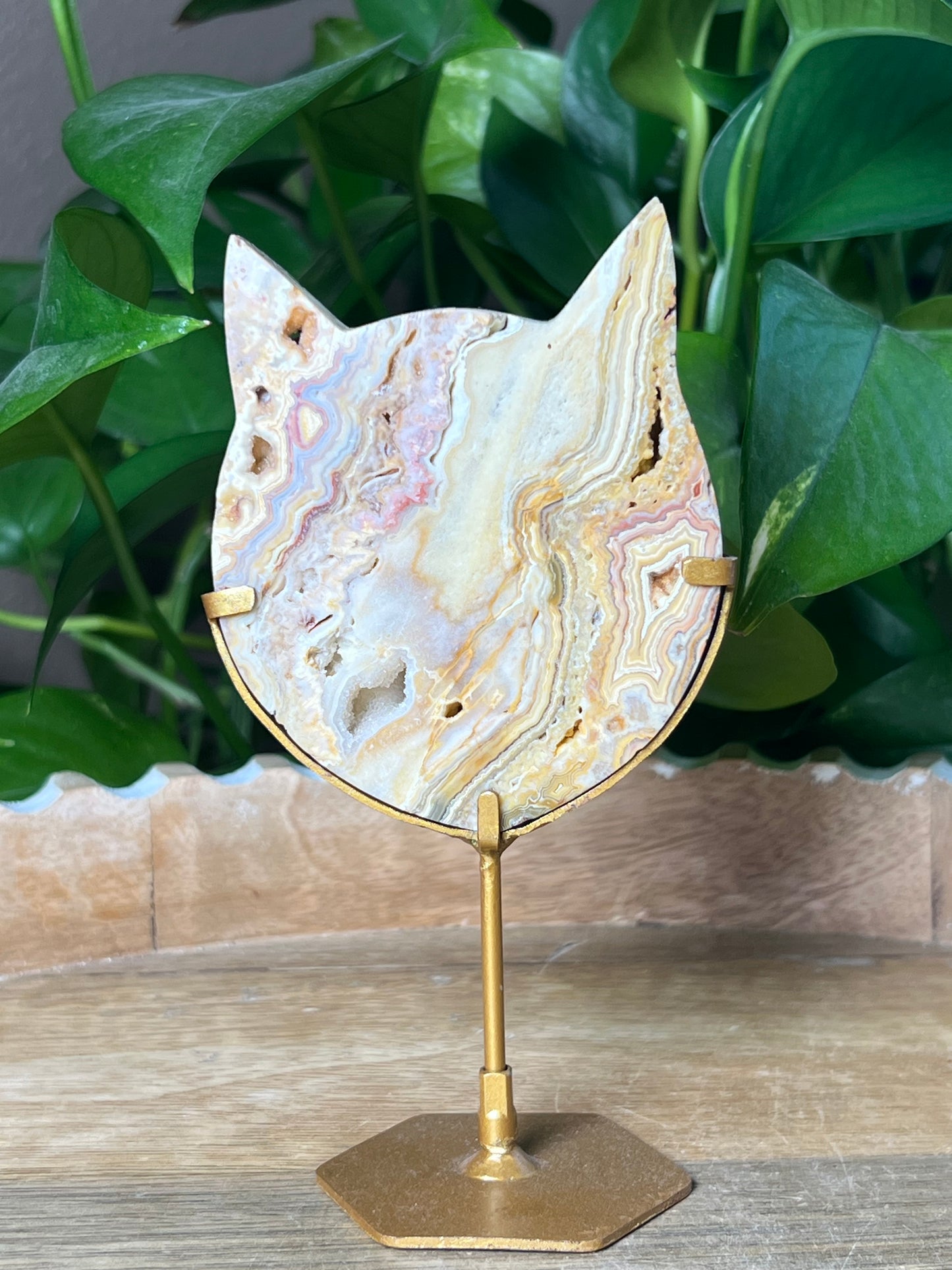 Crazy Lace Agate Cat Head