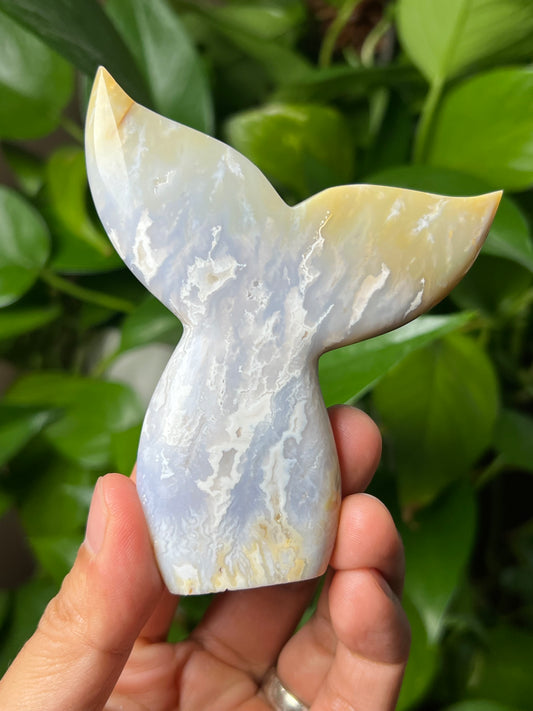 Winter Plume Agate Tail