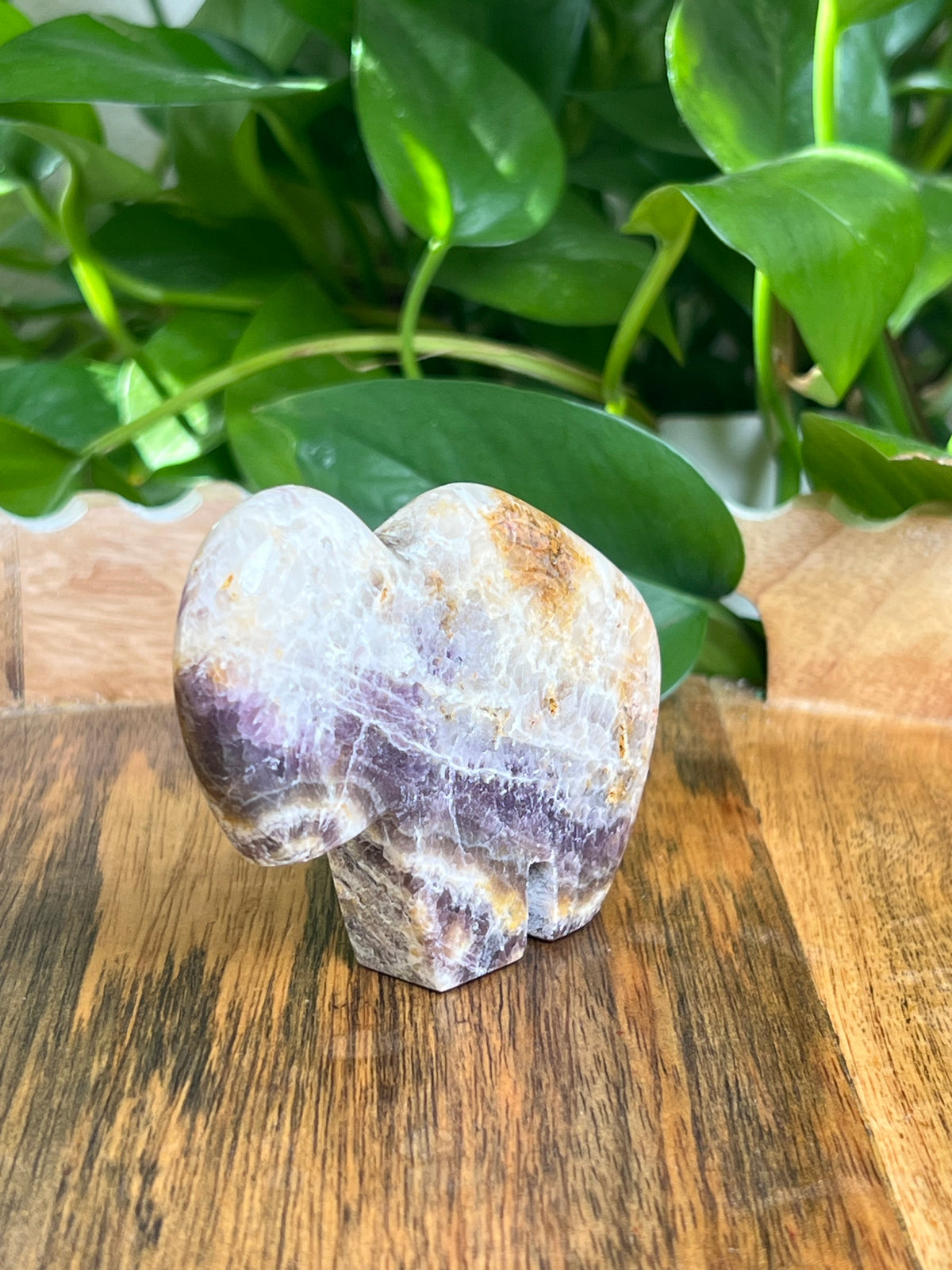 Indonesian Amethyst Buffalo: RC