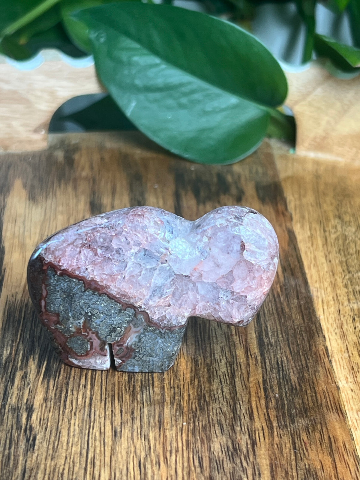 Marcasite Mini Buffalo: MD