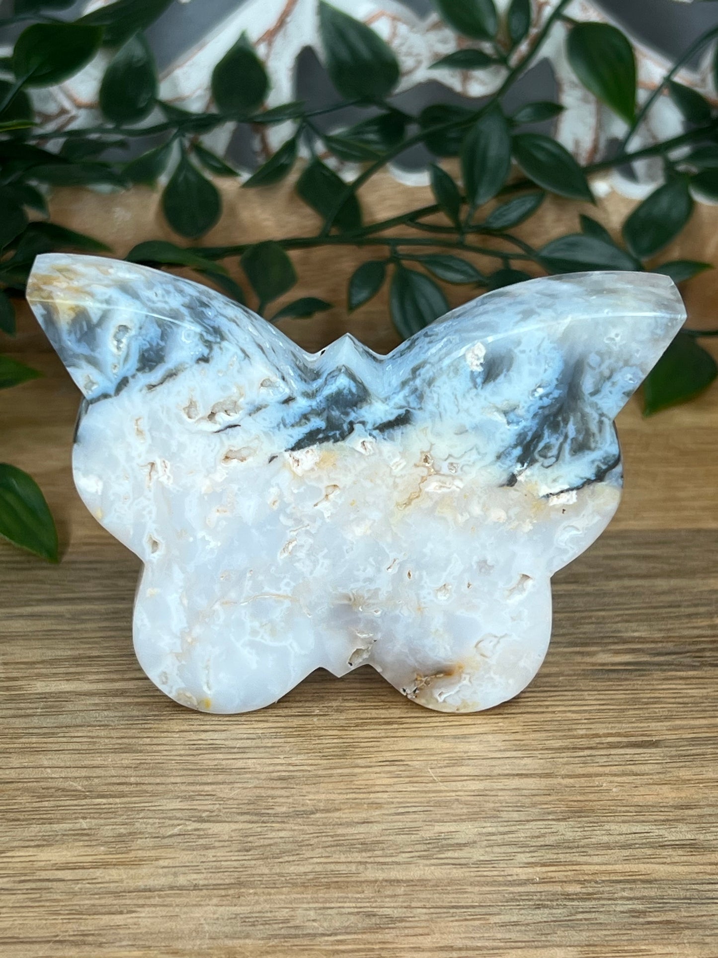 Rainbow Plume Agate Butterfly