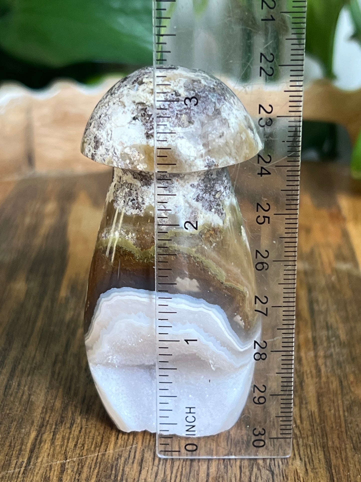 Scenic Moss Agate Mushroom