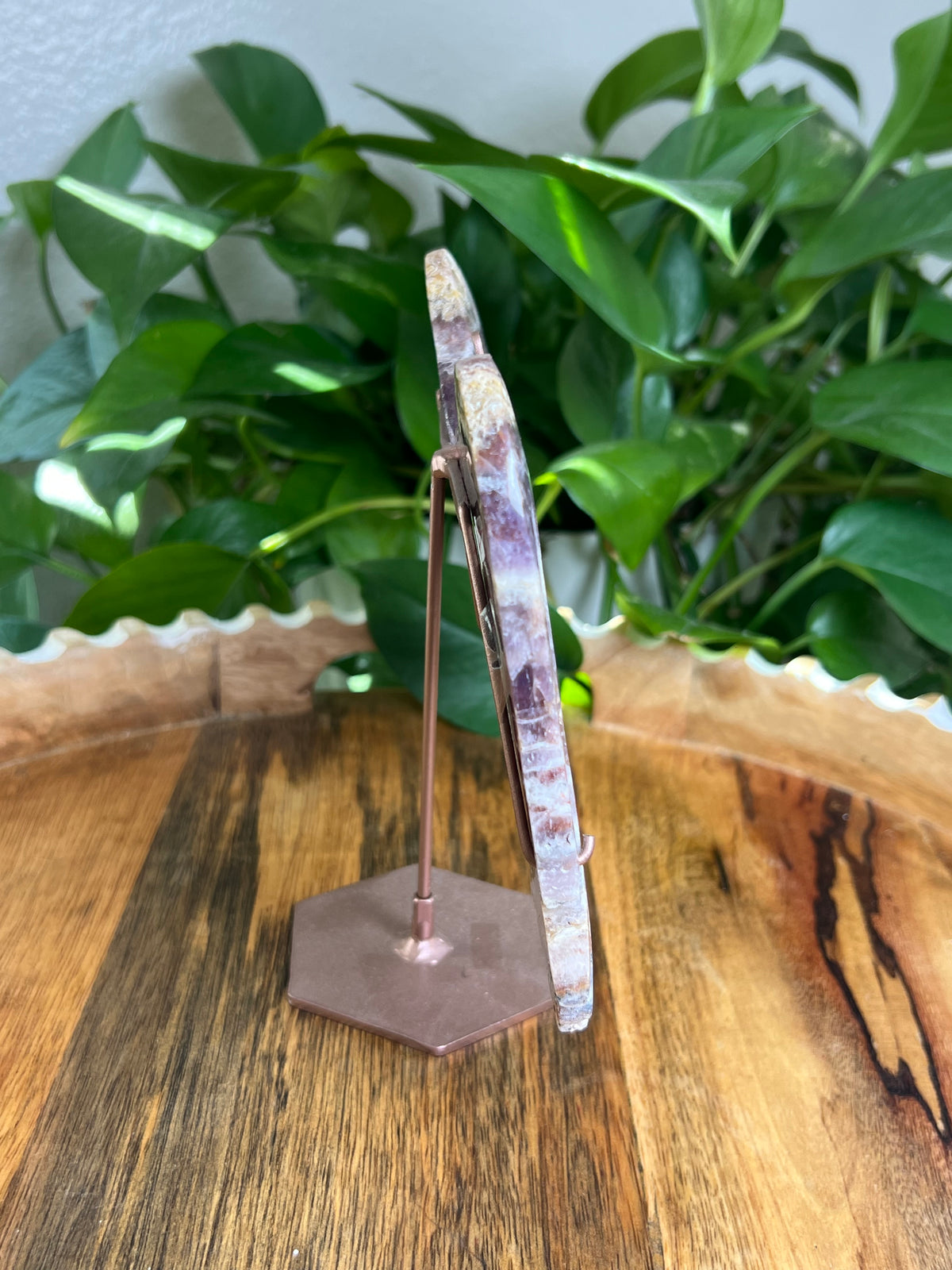 Indonesian Amethyst Wings: SE