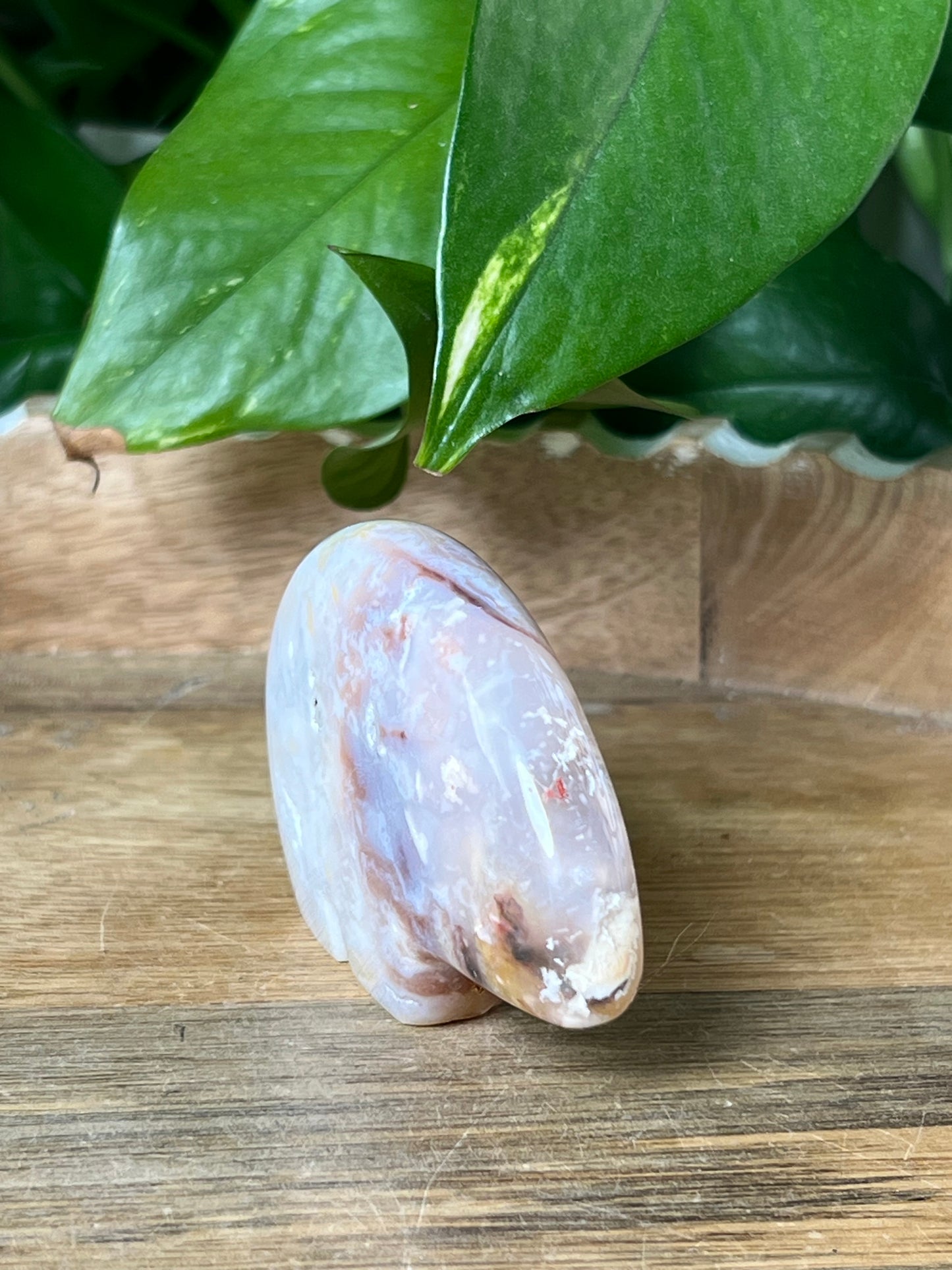 Rainbow Plume Agate Bear