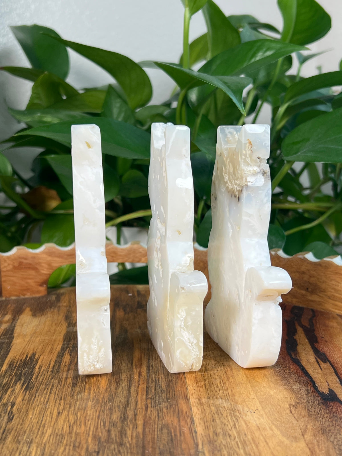 White Plume Agate Cats