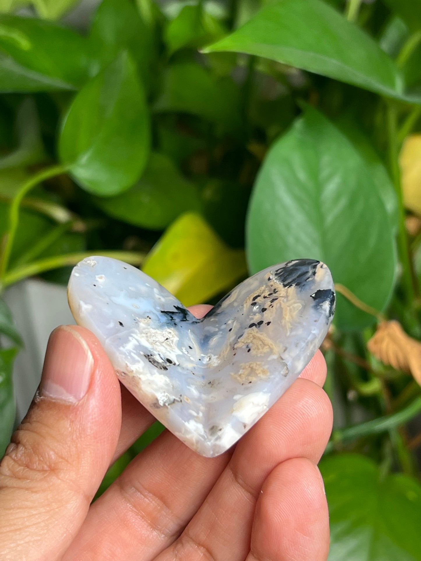 Dendritic Tiger Agate 3D Butterfly HA