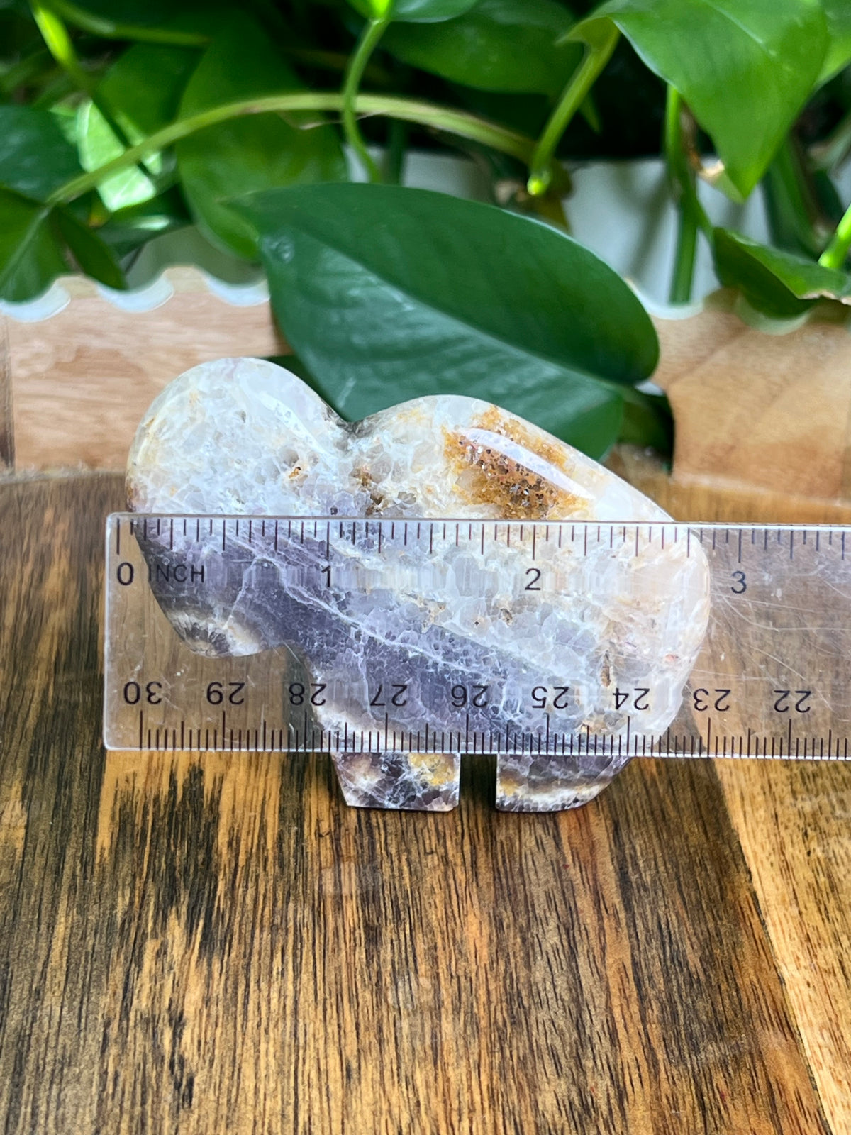 Indonesian Amethyst Buffalo: RC
