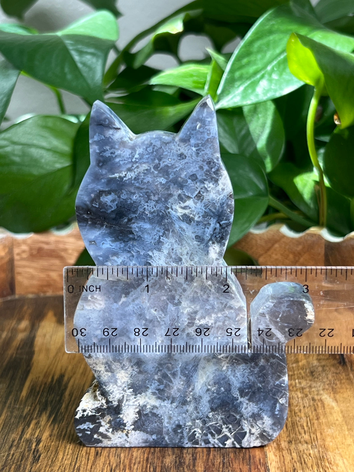 Blue Plume Agate Cat: MA