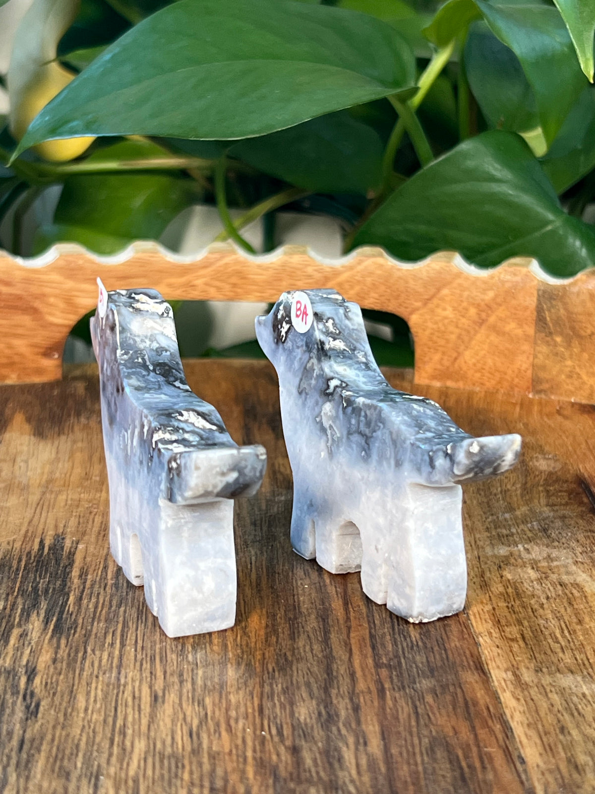 Blue Plume Agate Dogs