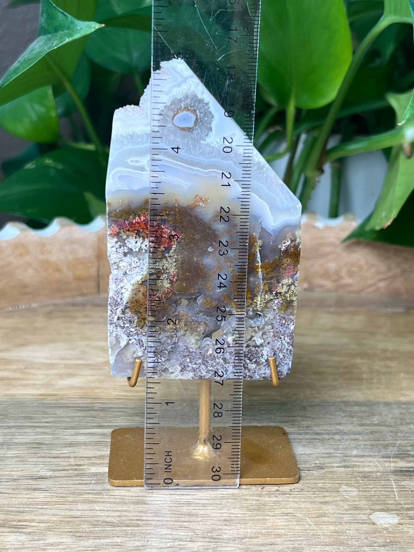 Scenic Moss Agate Slab