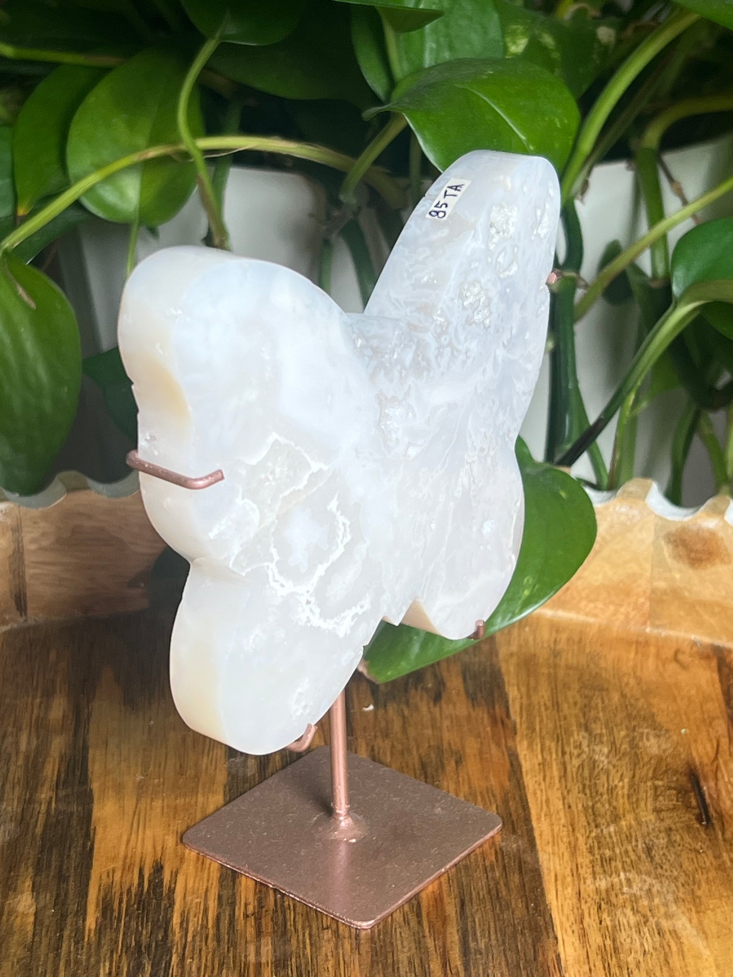 White Plume Agate Butterfly: TA
