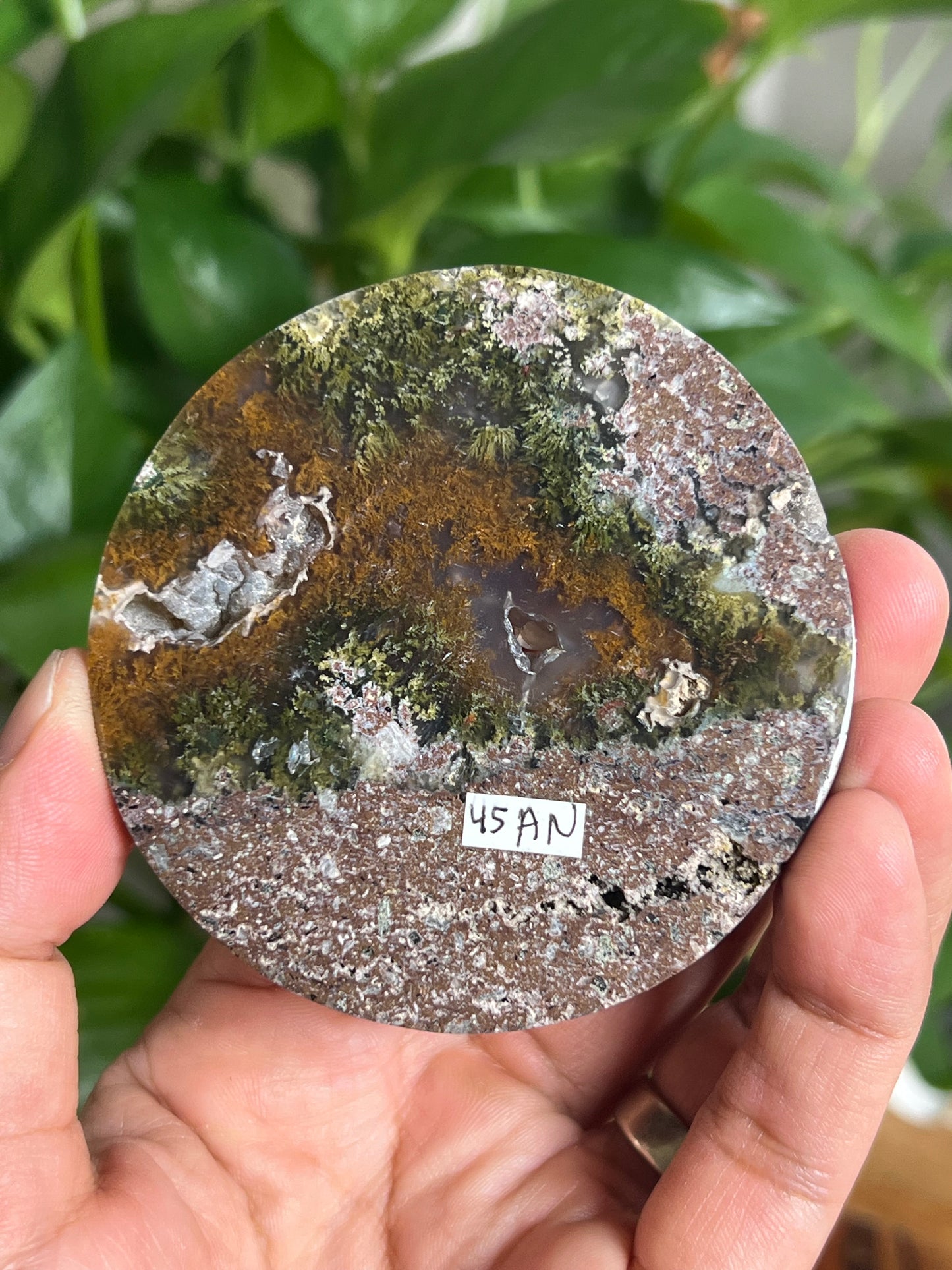 Scenic Moss Agate Coaster: AN