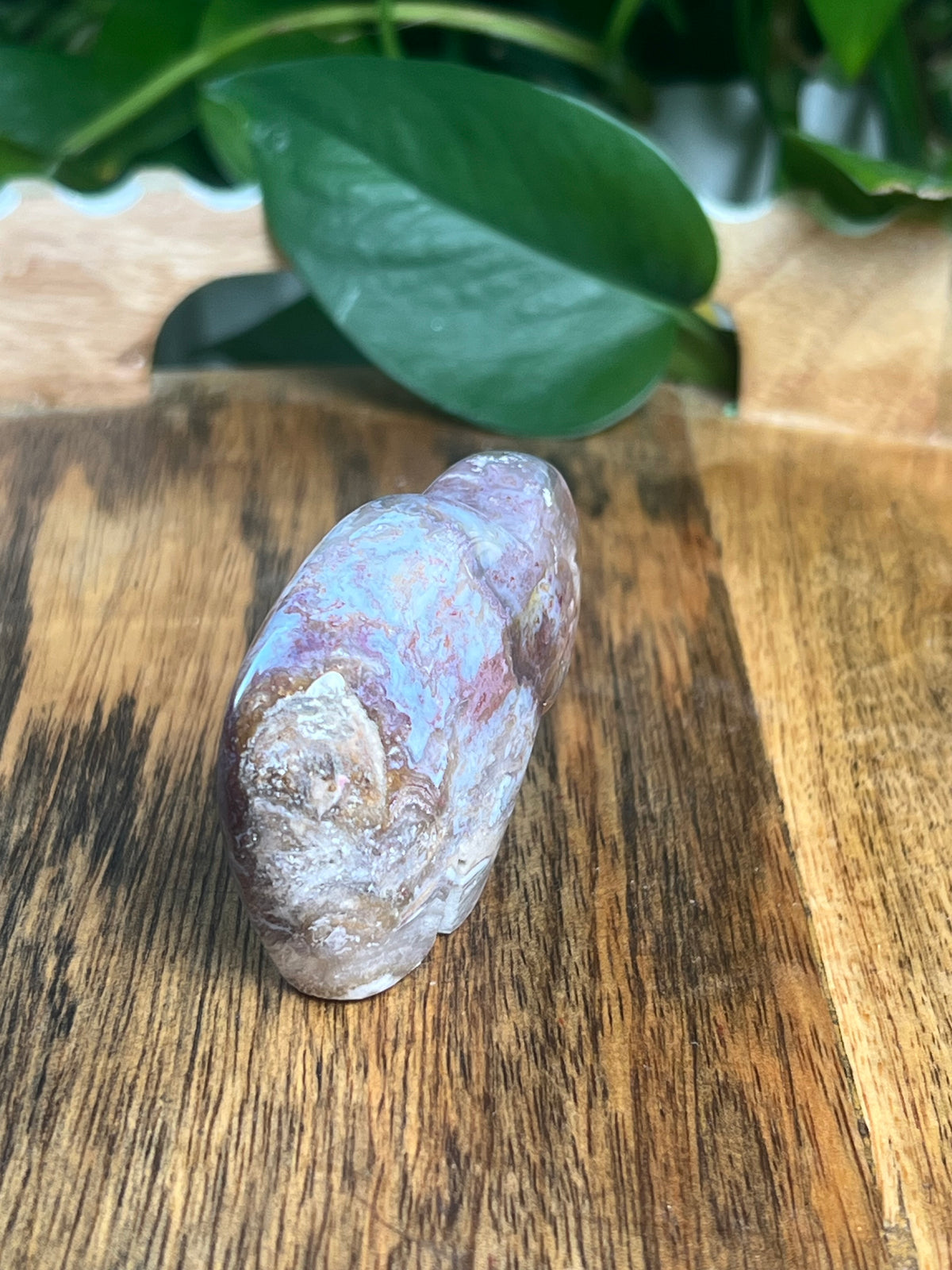 Sumatra Plume Agate Mini Buffalo: DK