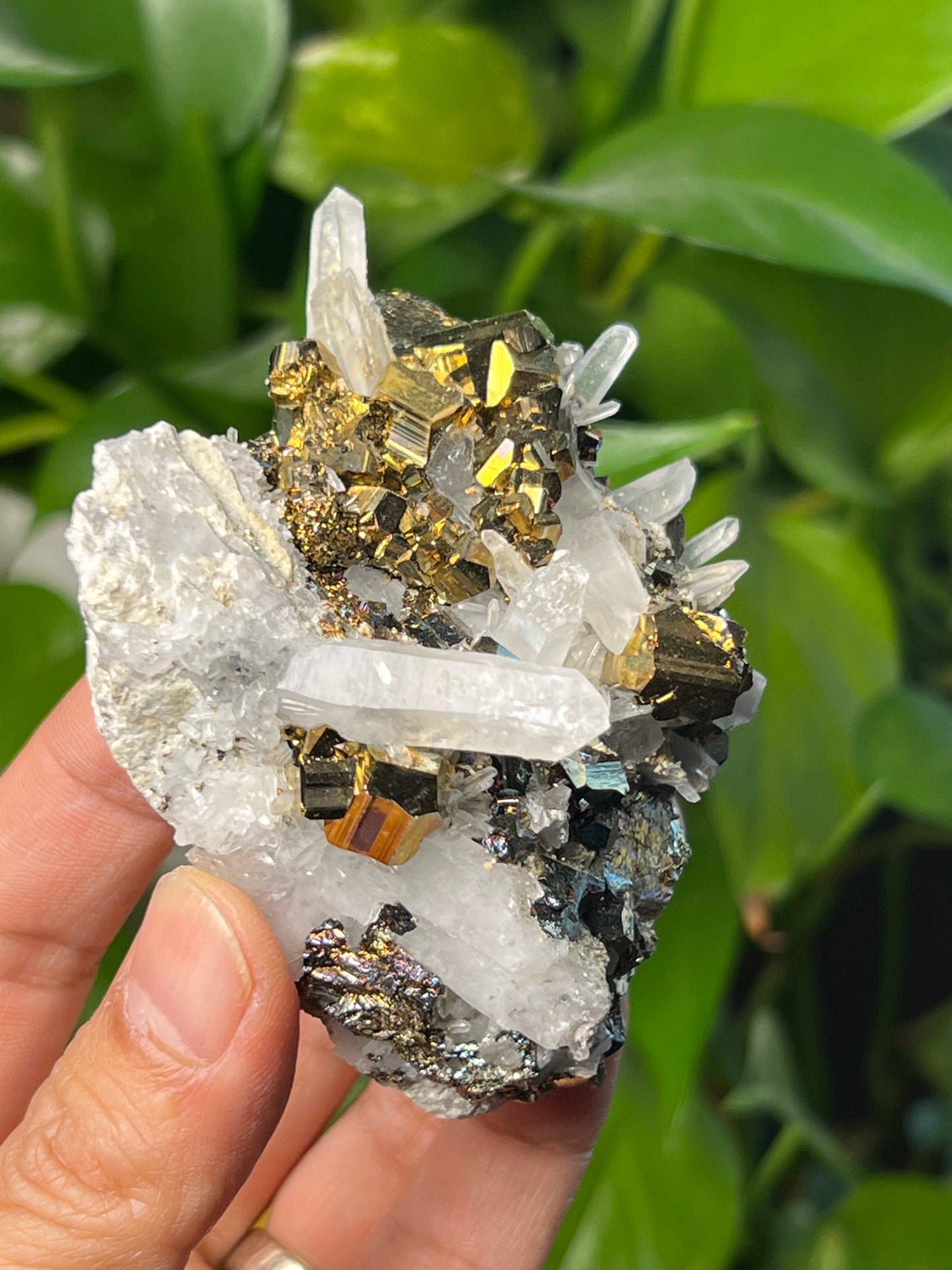 Rainbow Pyrite Quartz