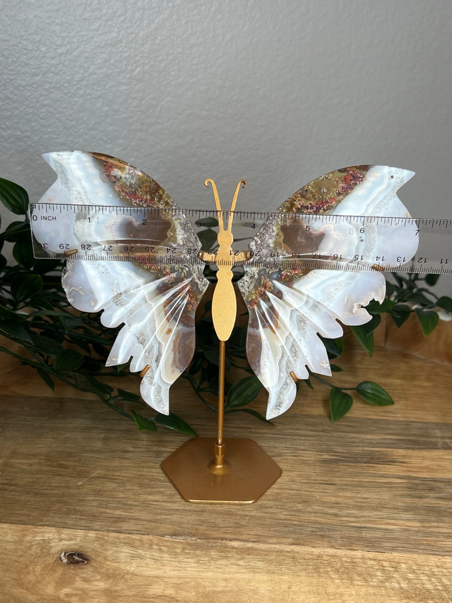 Scenic Moss Agate Wings