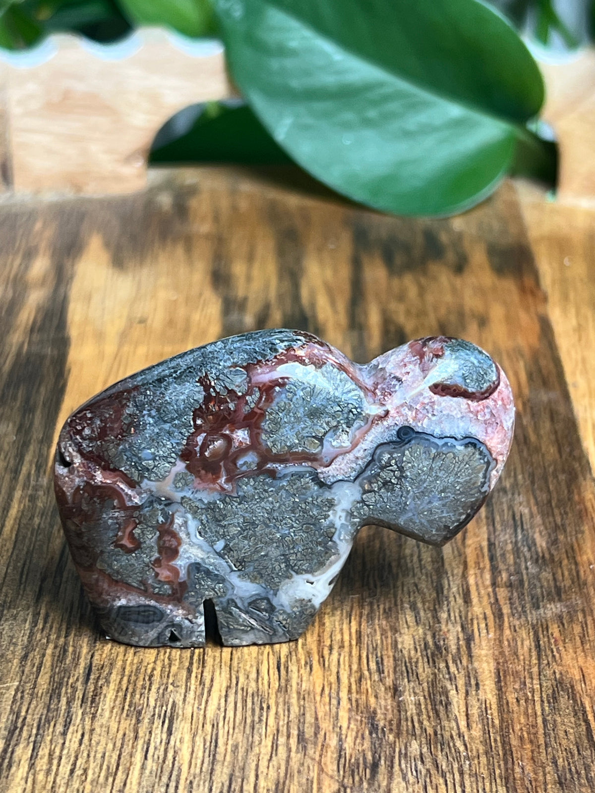 Marcasite Mini Buffalo: MN