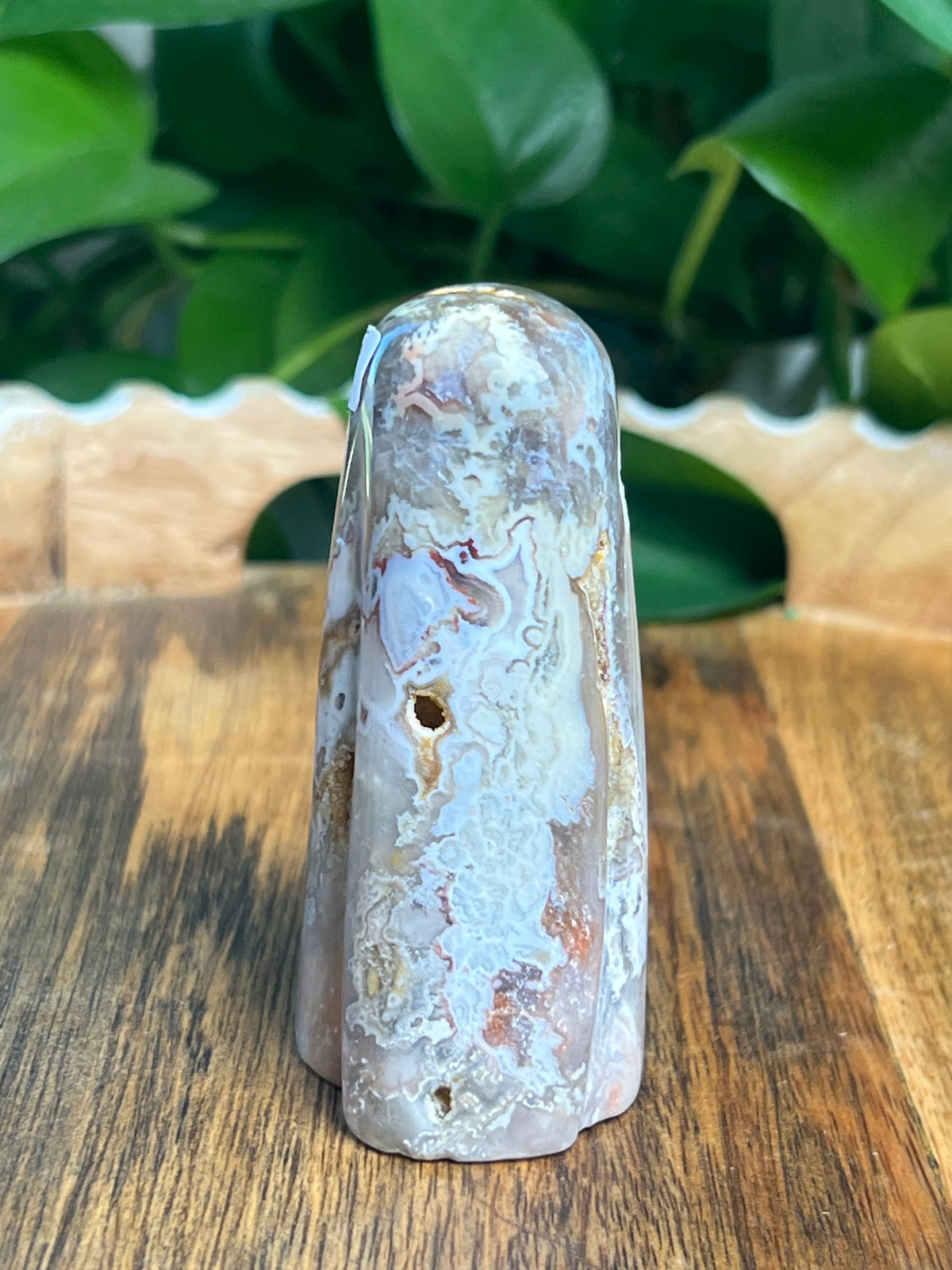 Sumatra Plume Agate Ghost: Y