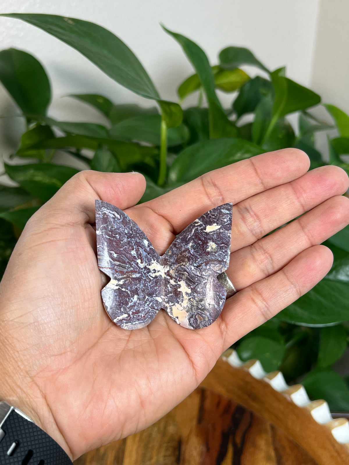 Burgundy River Jasper 3D Butterflies: Pointed Tips