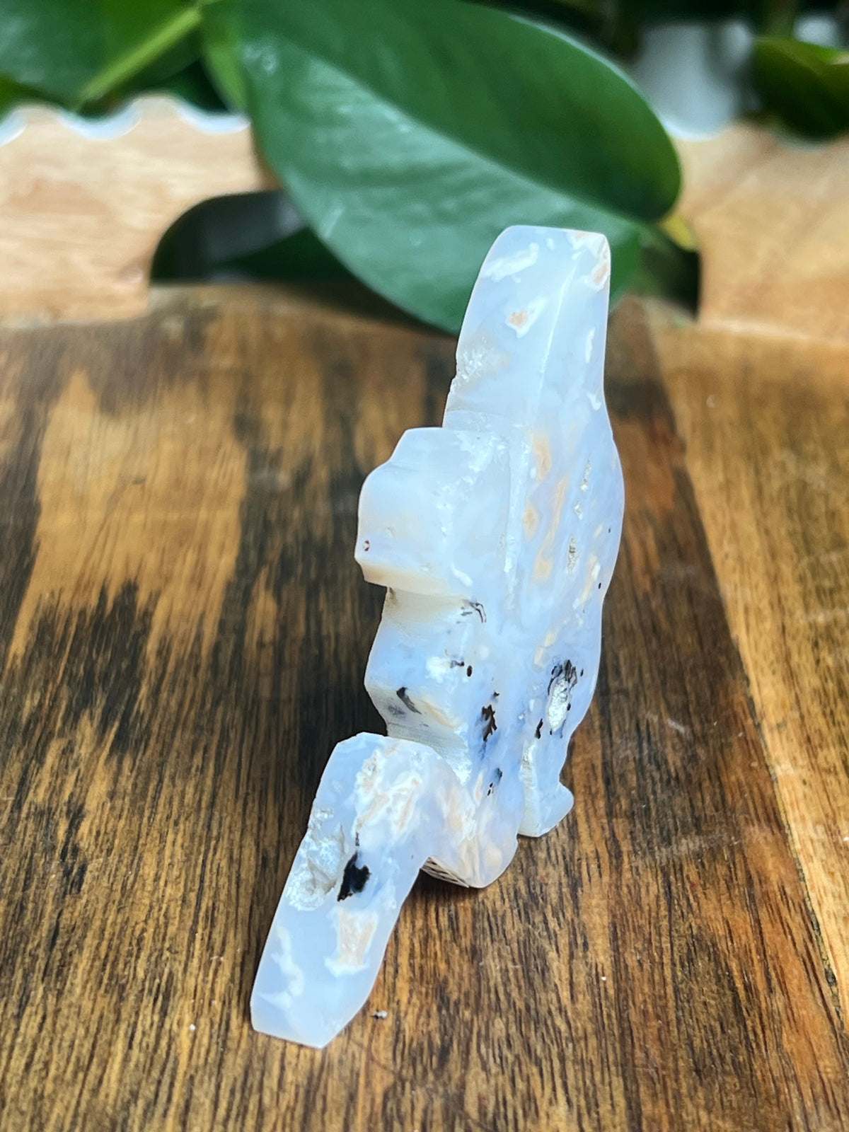 Dendritic Tiger Agate Fairy: AA