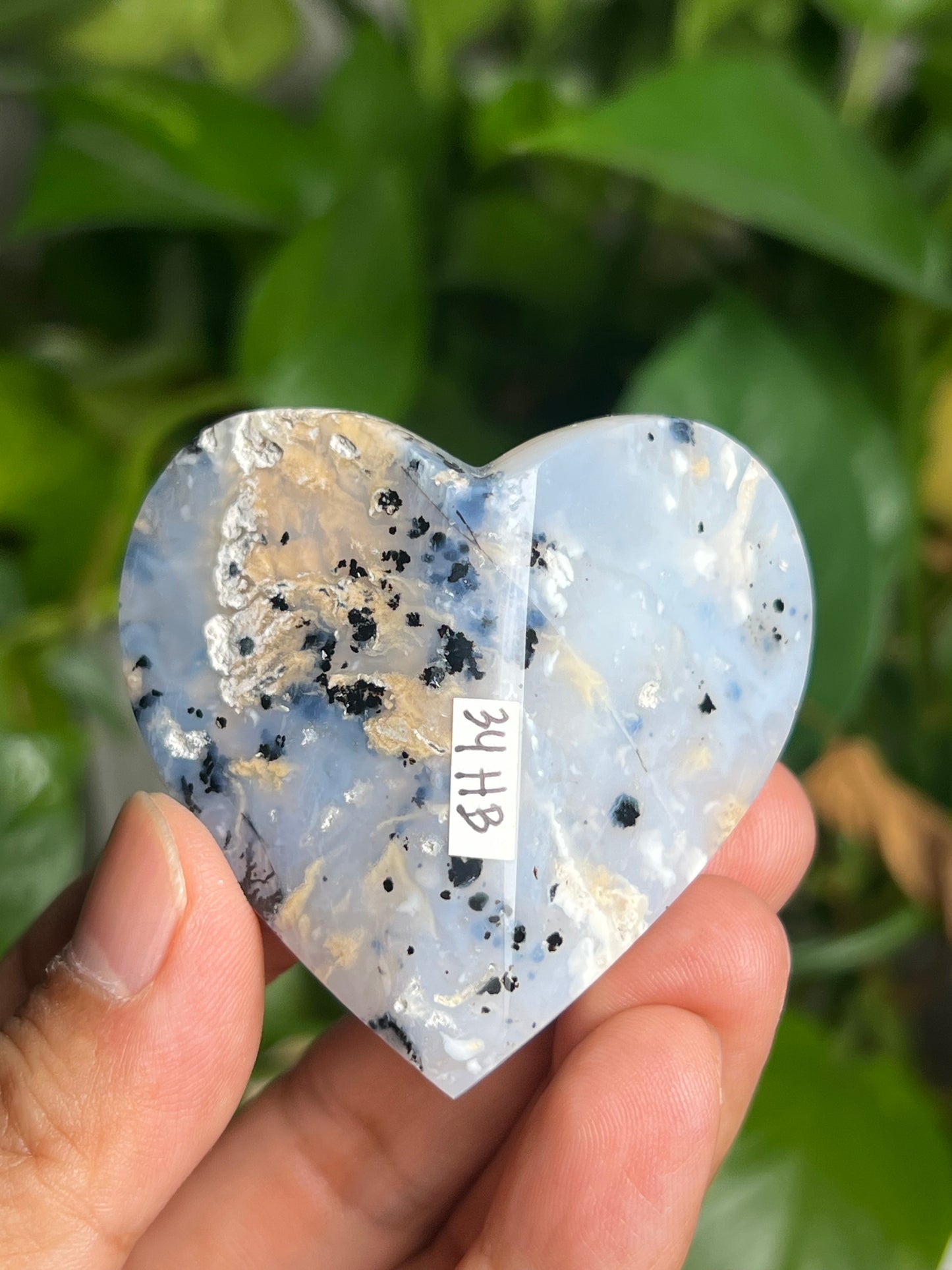 Dendritic Tiger Agate 3D Butterfly HB