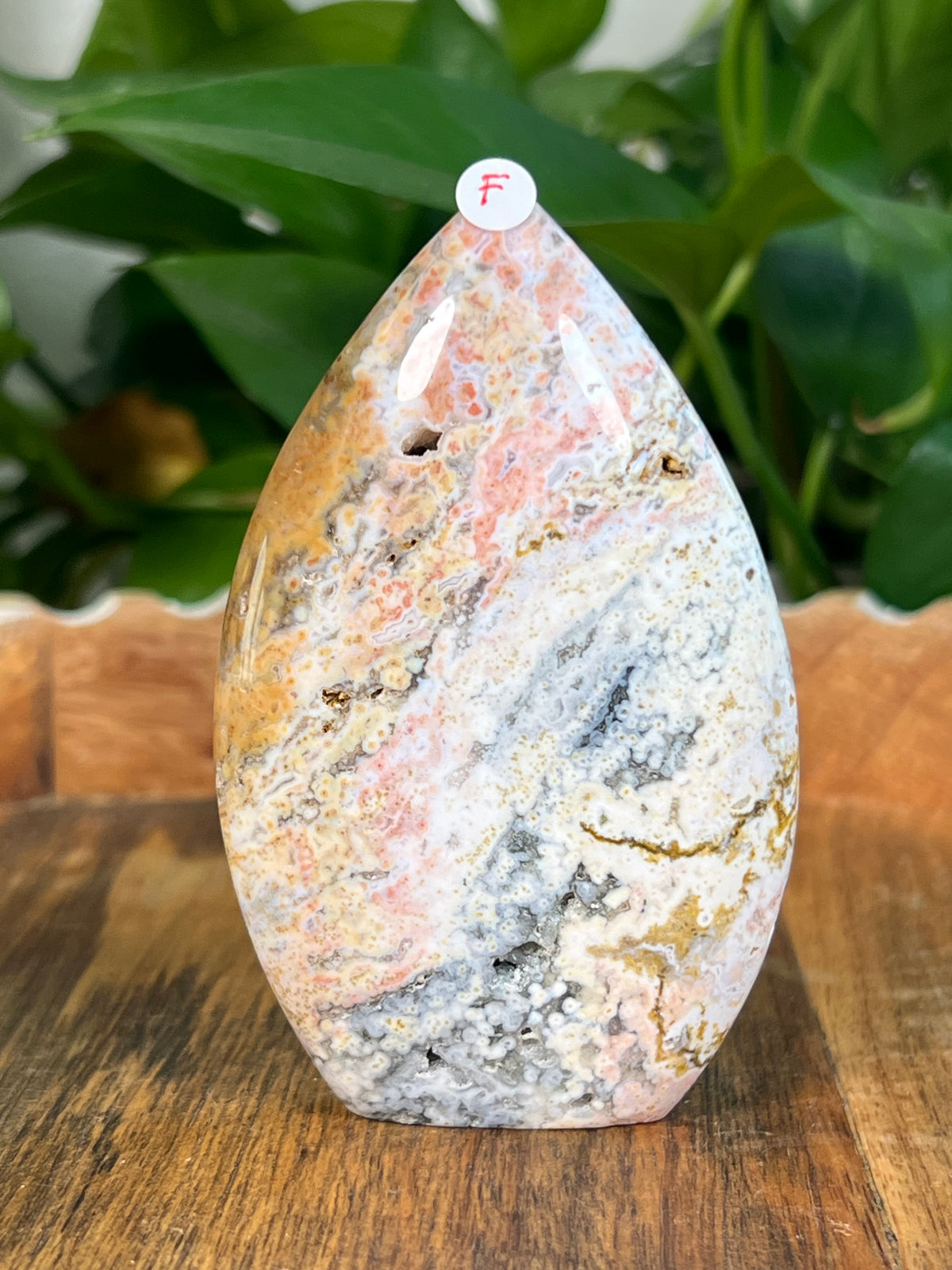 Sea Jasper Flames