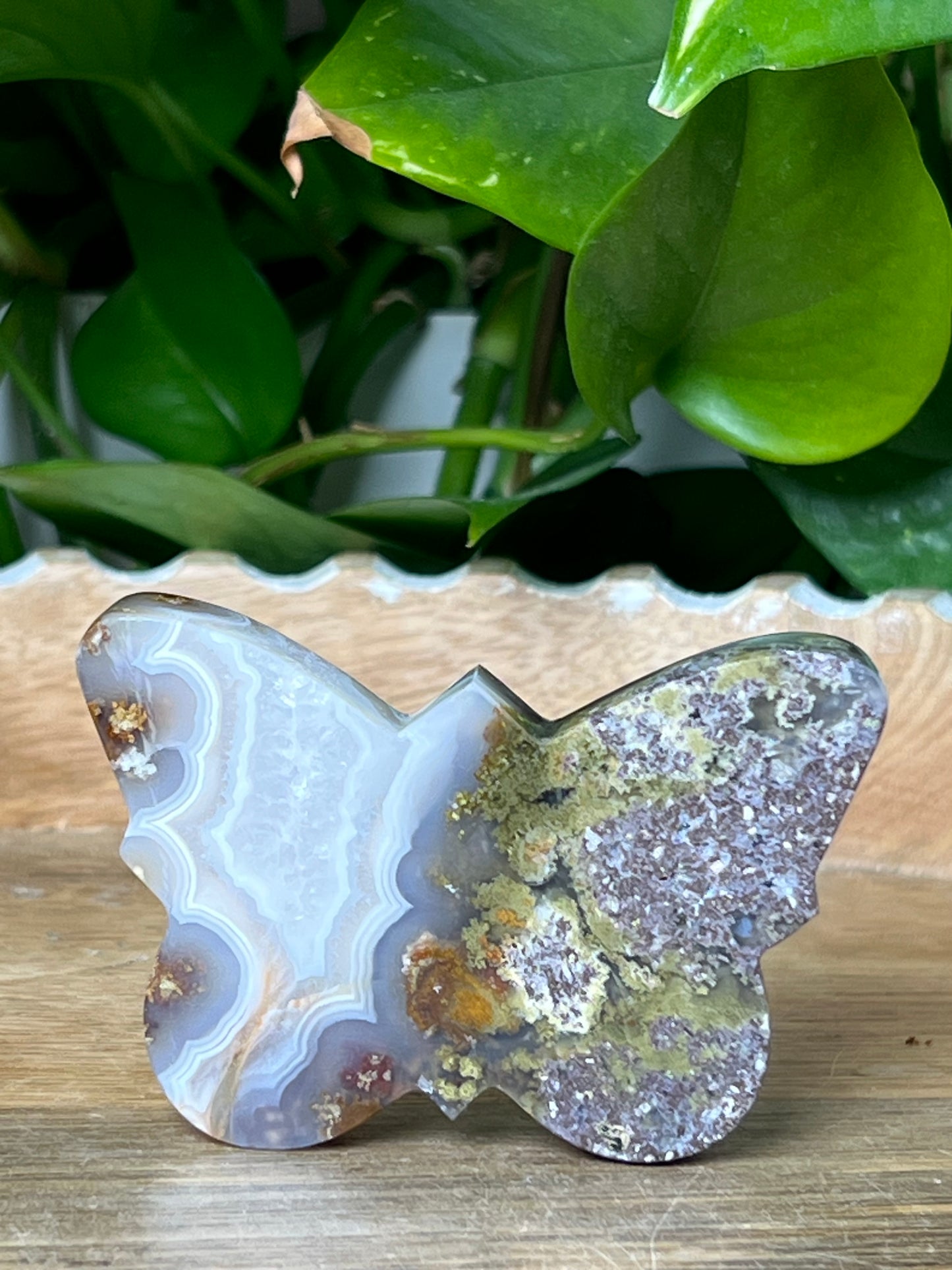 Scenic Moss Agate Butterfly