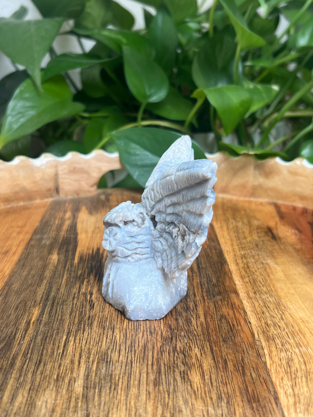 Blue Plume Agate Owl: XX