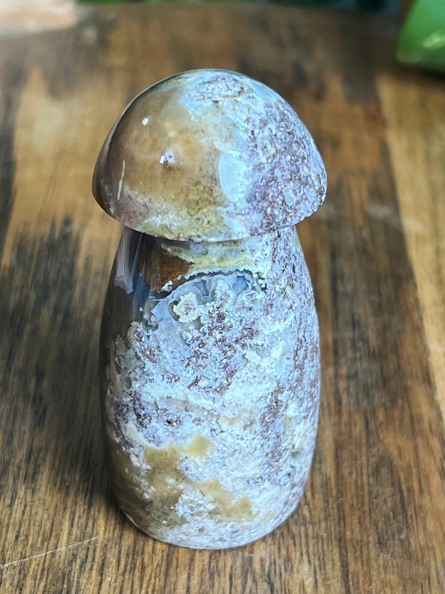 Scenic Moss Agate Mushroom