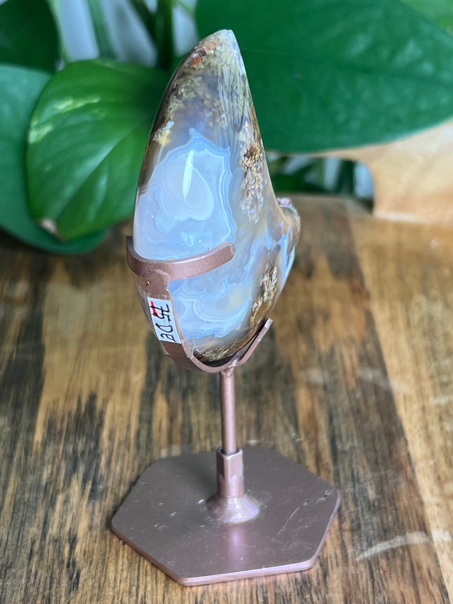 Scenic Moss Agate Moon: DE