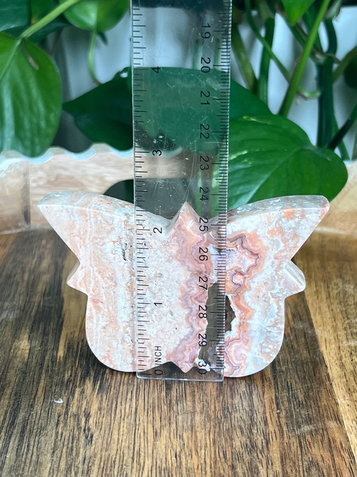 Crazy Lace Agate Butterfly: B