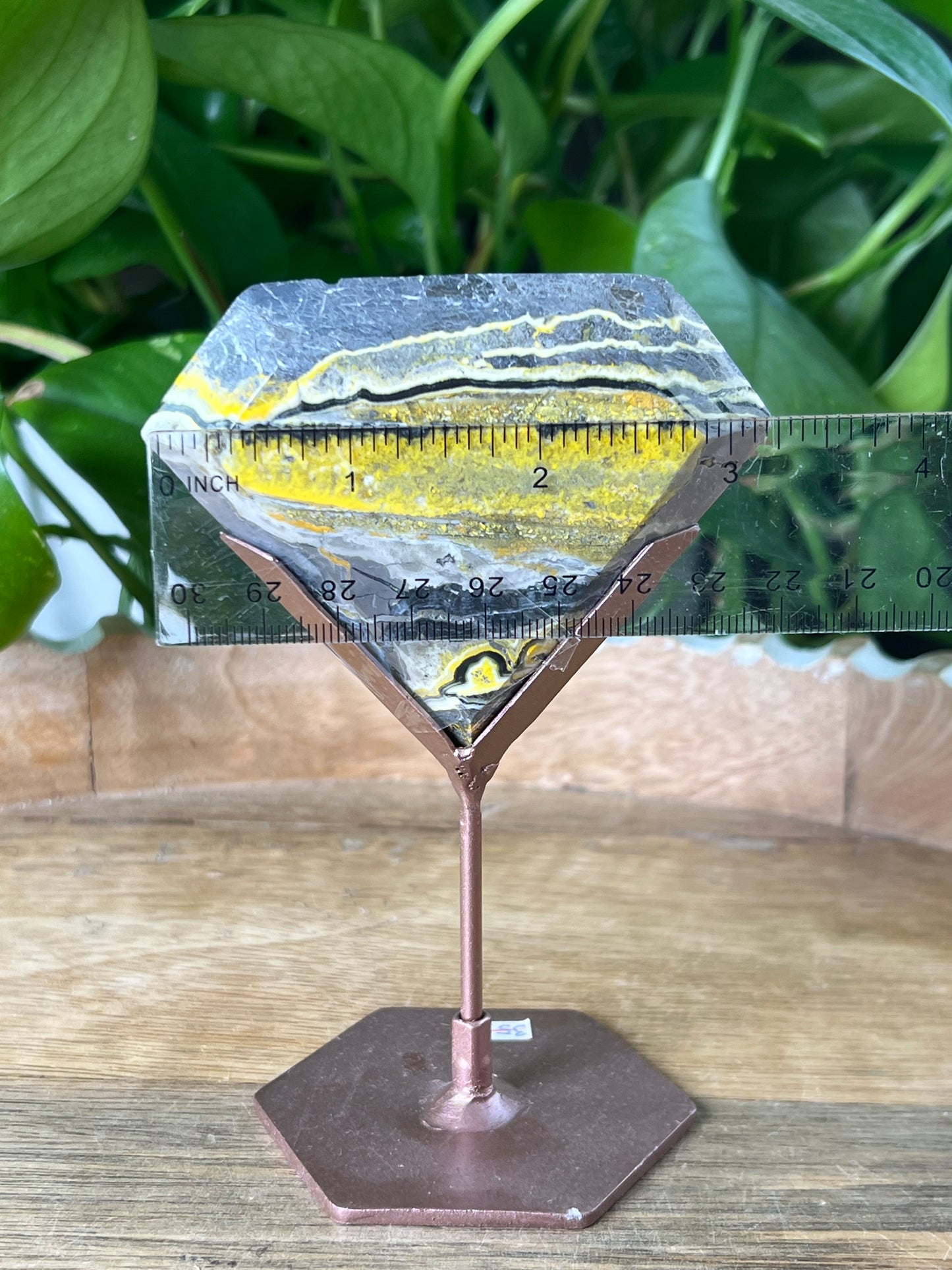 Bumblebee Jasper Diamond