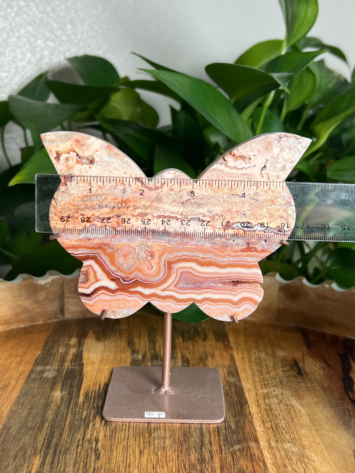 Crazy Lace Agate Butterfly: F