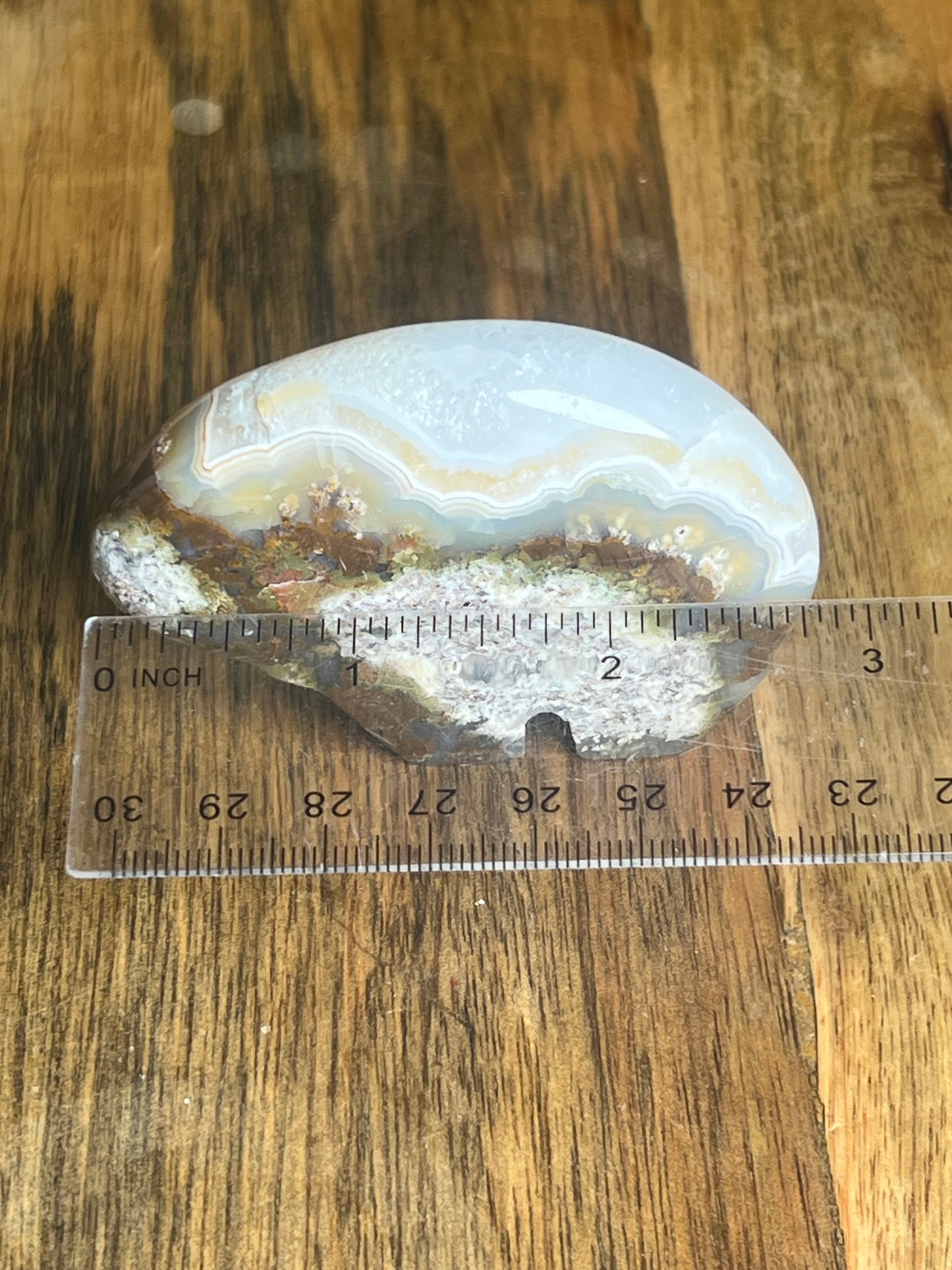 Scenic Moss Agate Bear NS
