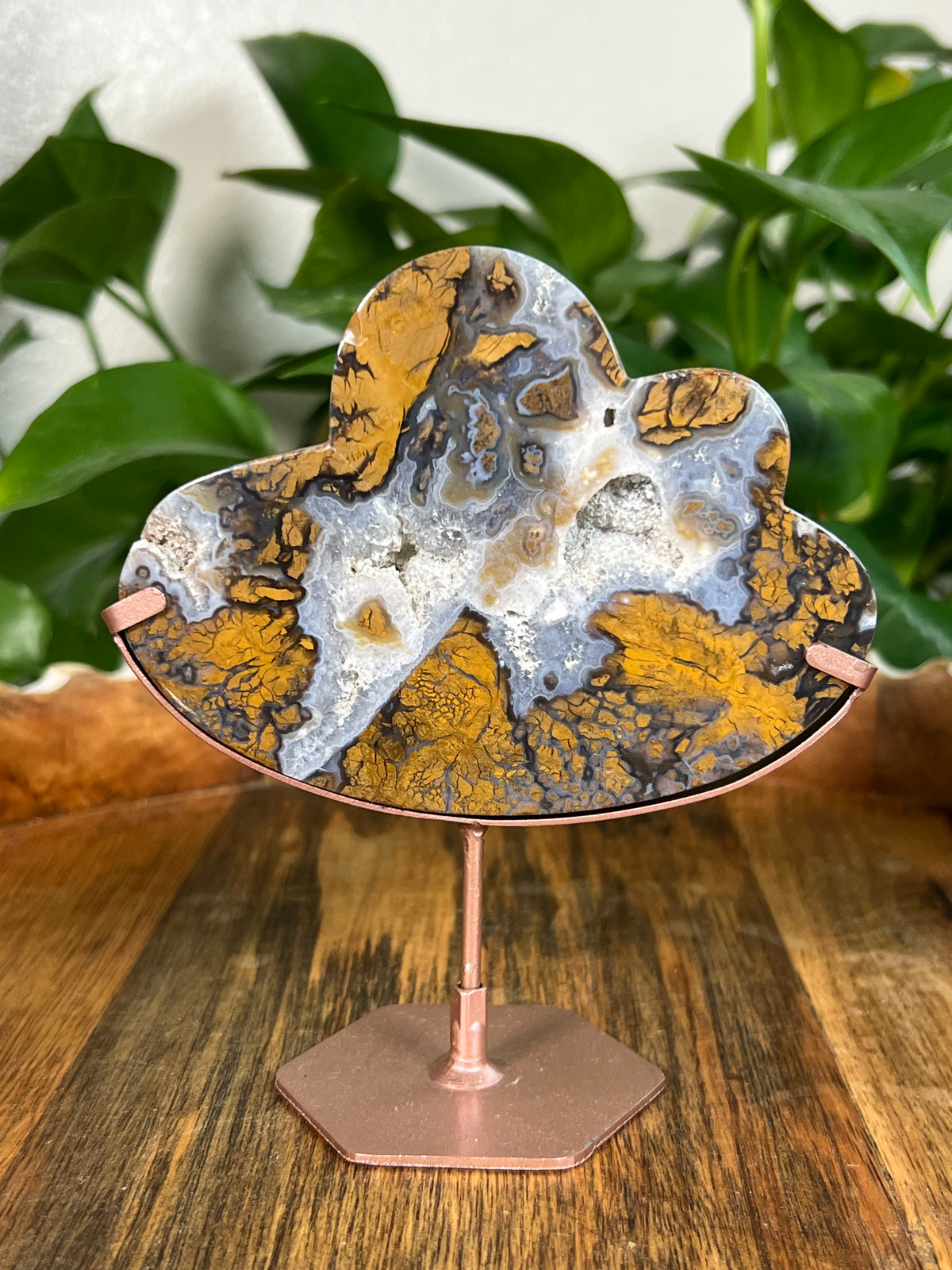 Brecciated Jasper Clouds
