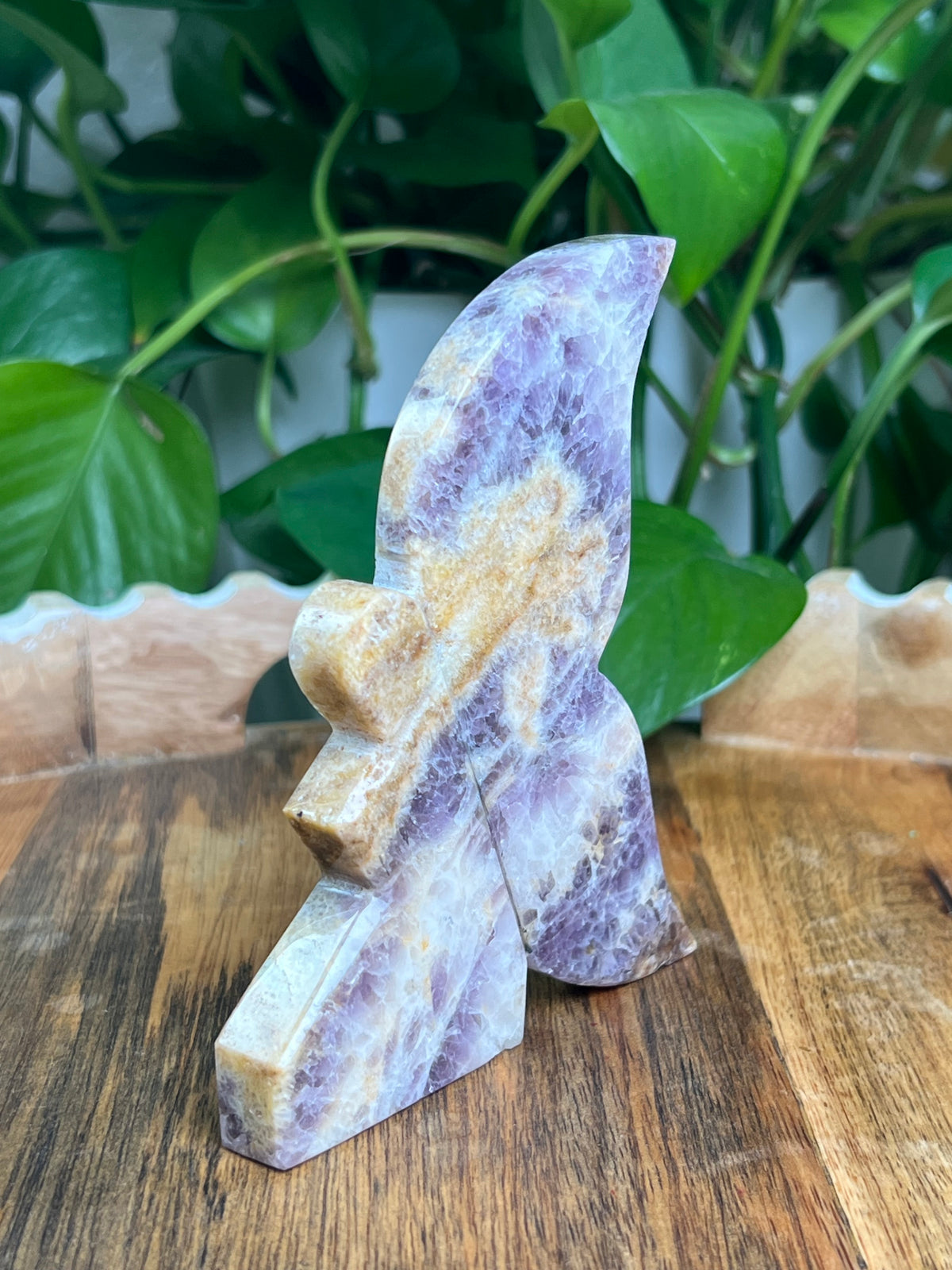 Indonesian Amethyst Fairy: LA