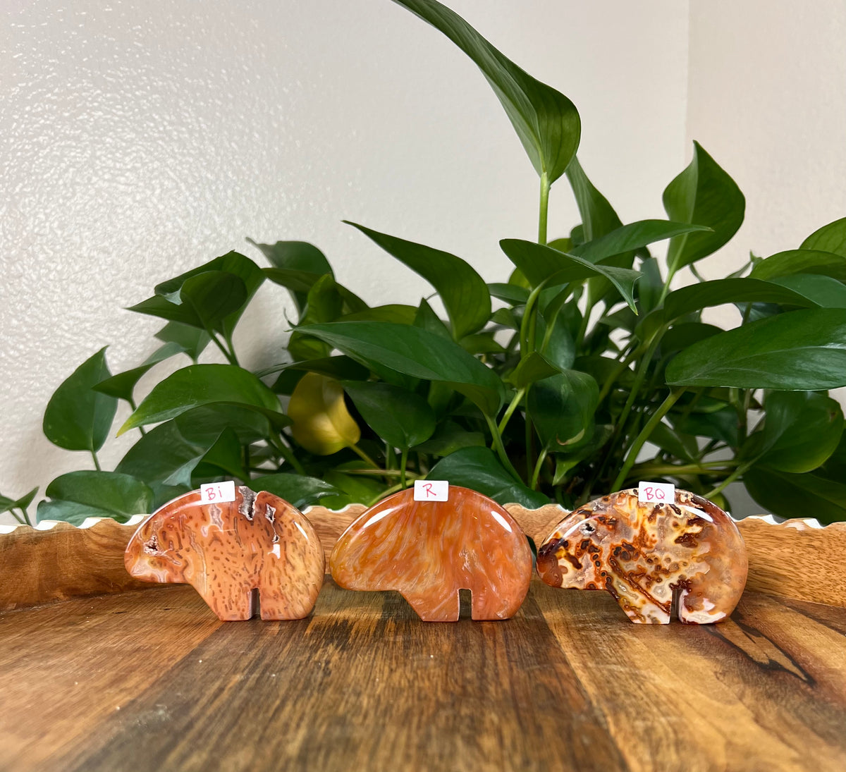 Red Carnelian Bears
