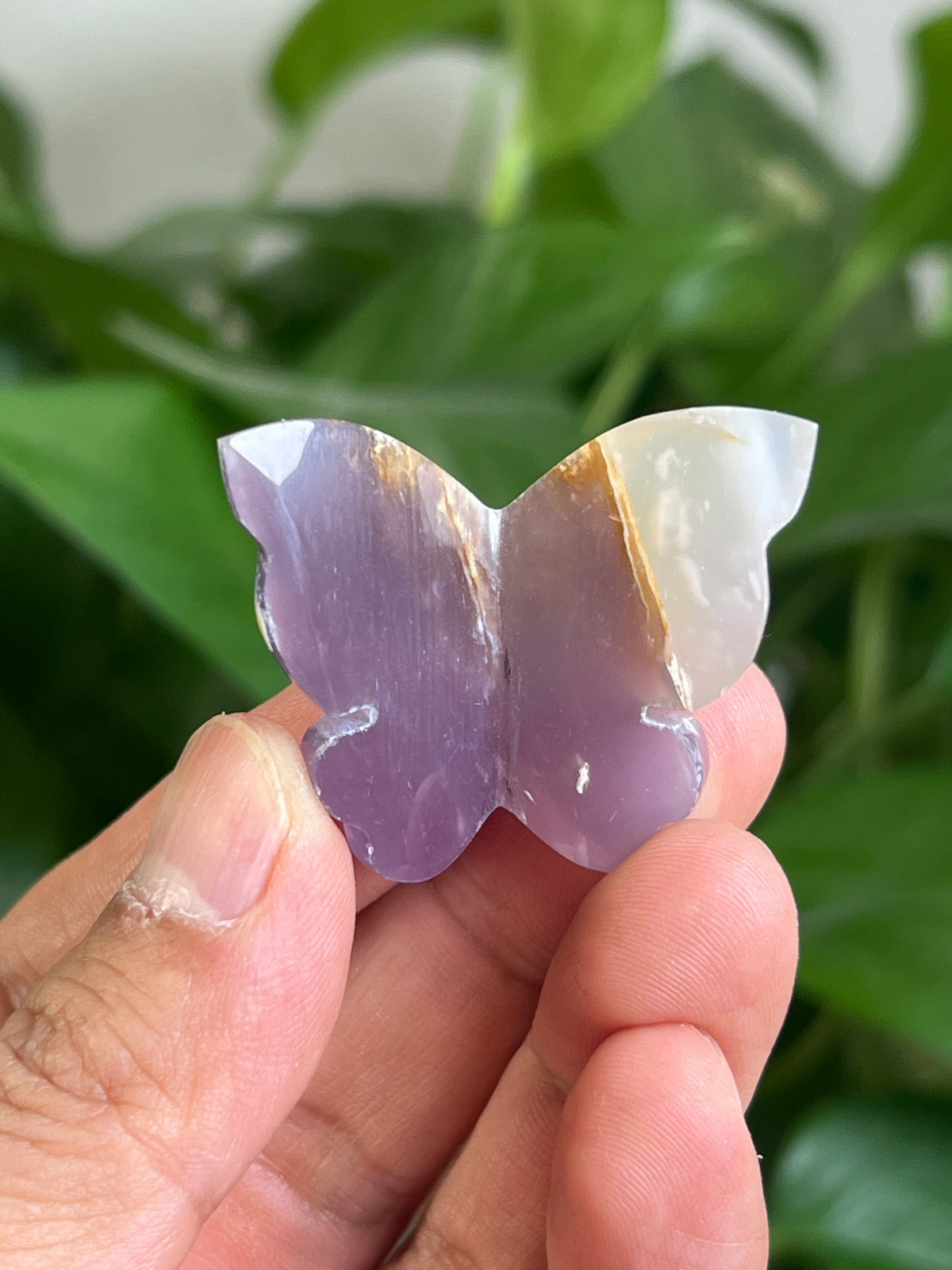 Purple Chalcedony 3D Mini Butterfly: DR
