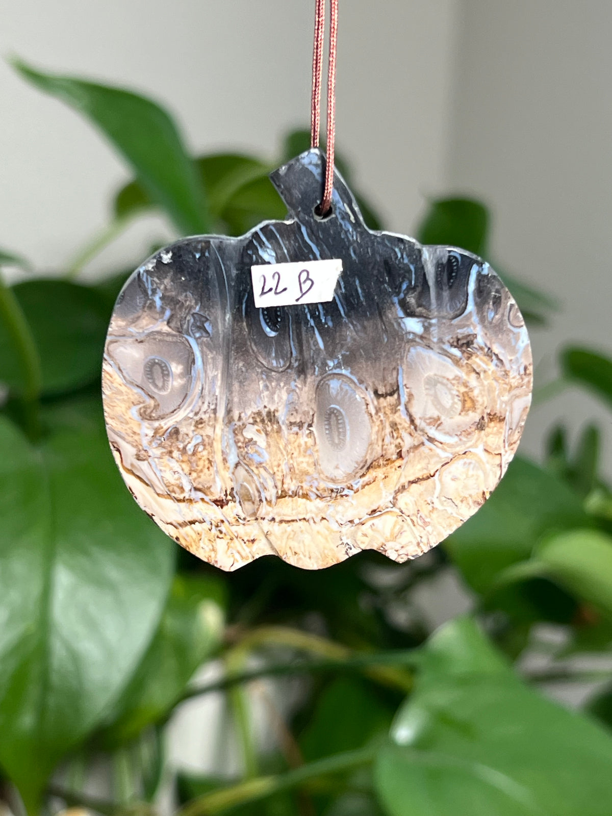 Palm Root Pumpkin Ornaments