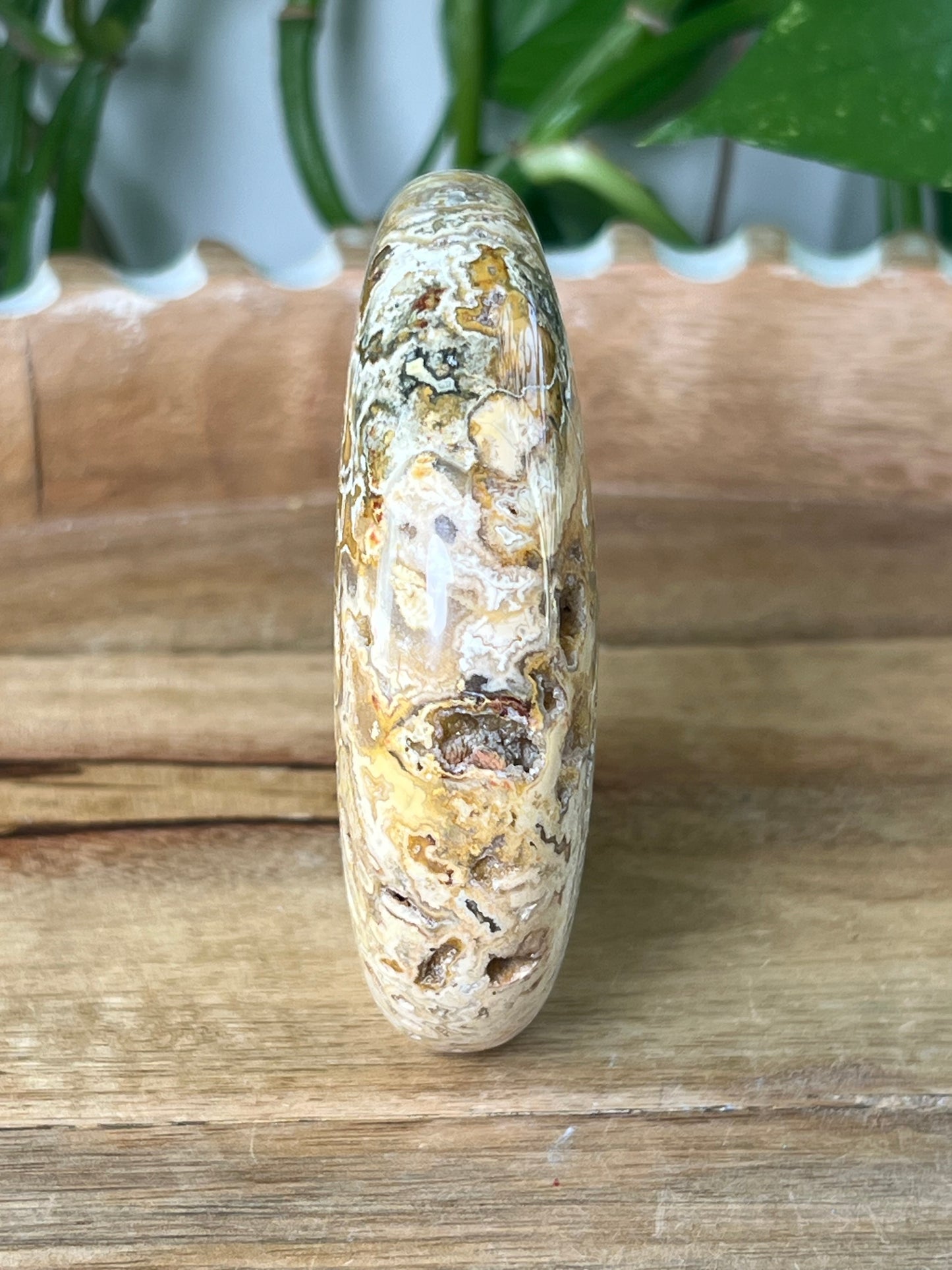 Crazy Lace Agate Moon