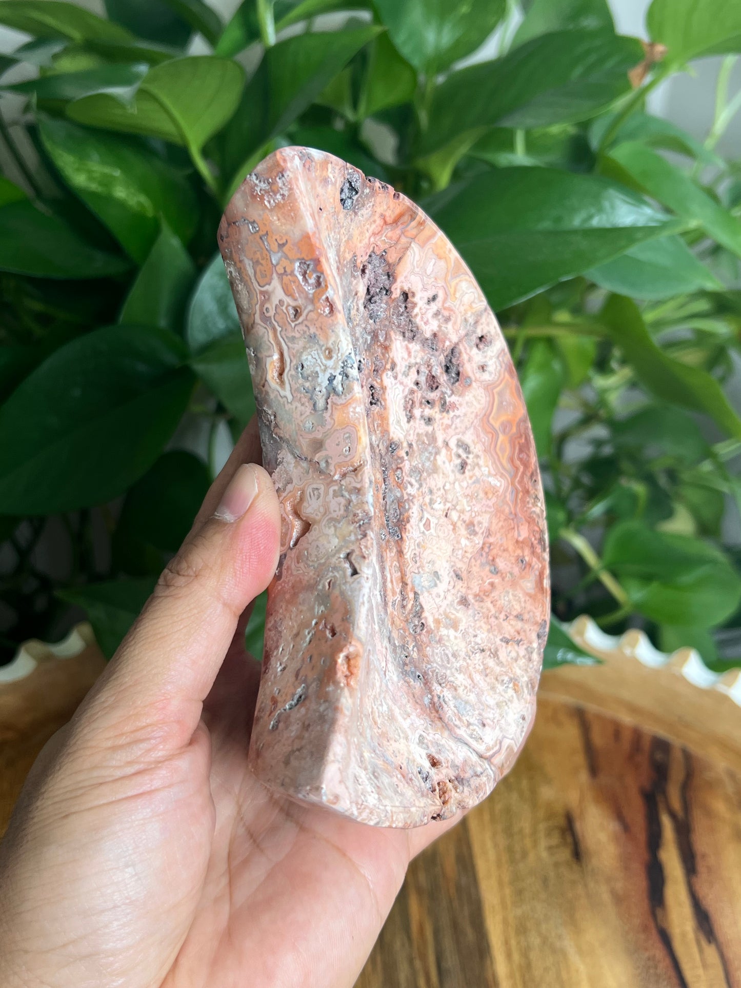 Crazy Lace Agate Moon Bowl: B